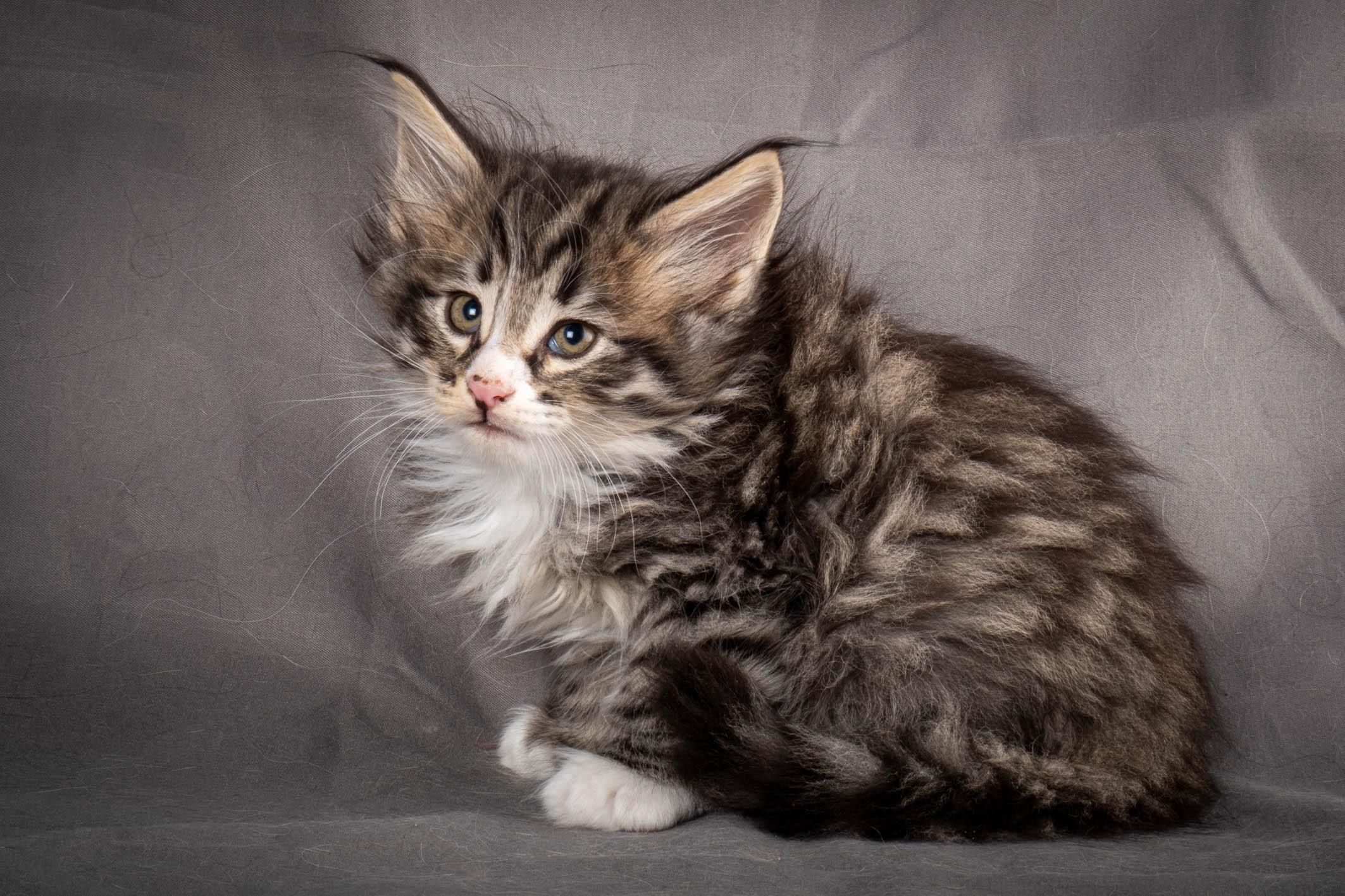 (N)Migoto's Yami, NFO n 09 24