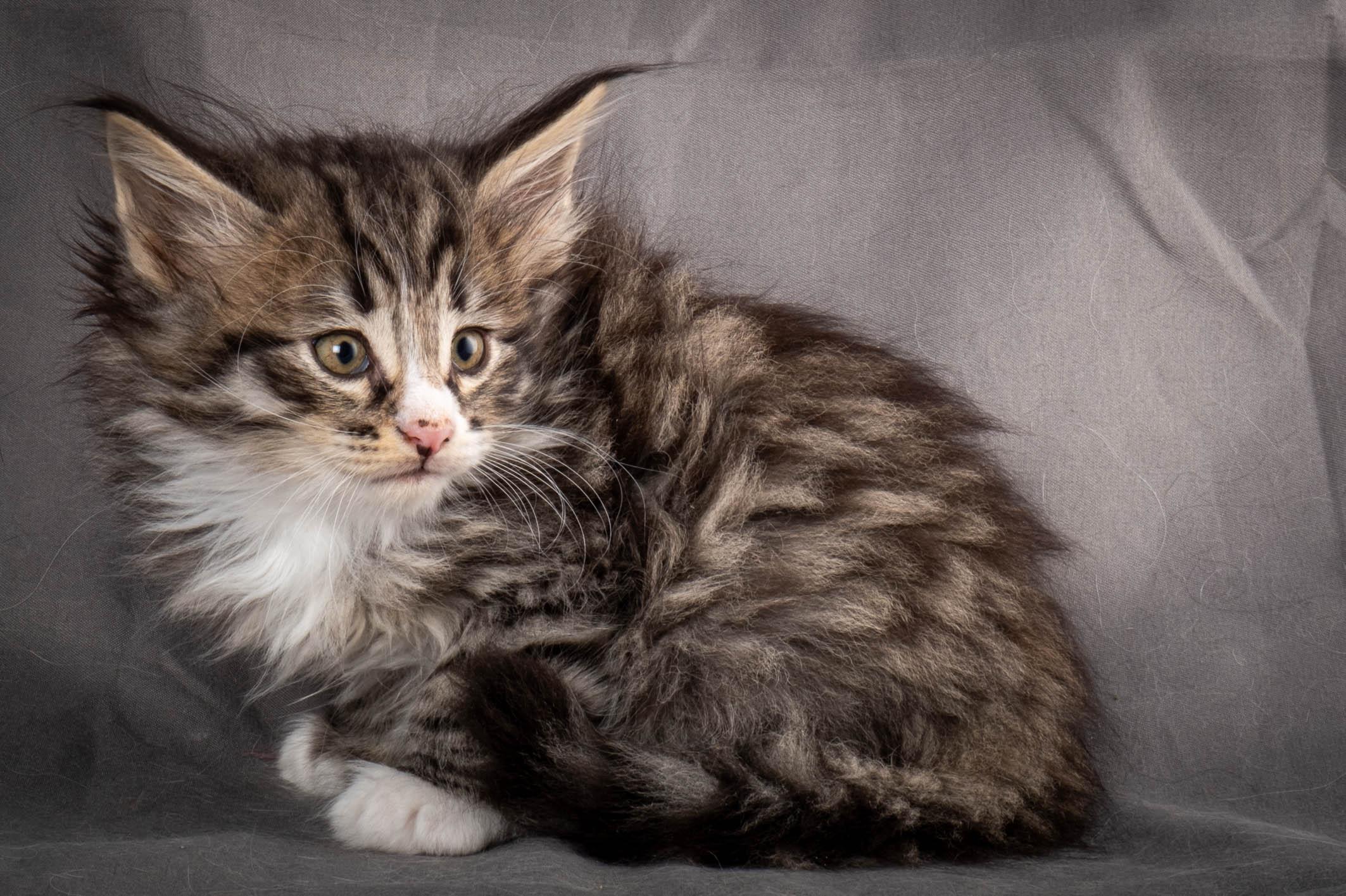 (N)Migoto's Yami, NFO n 09 24