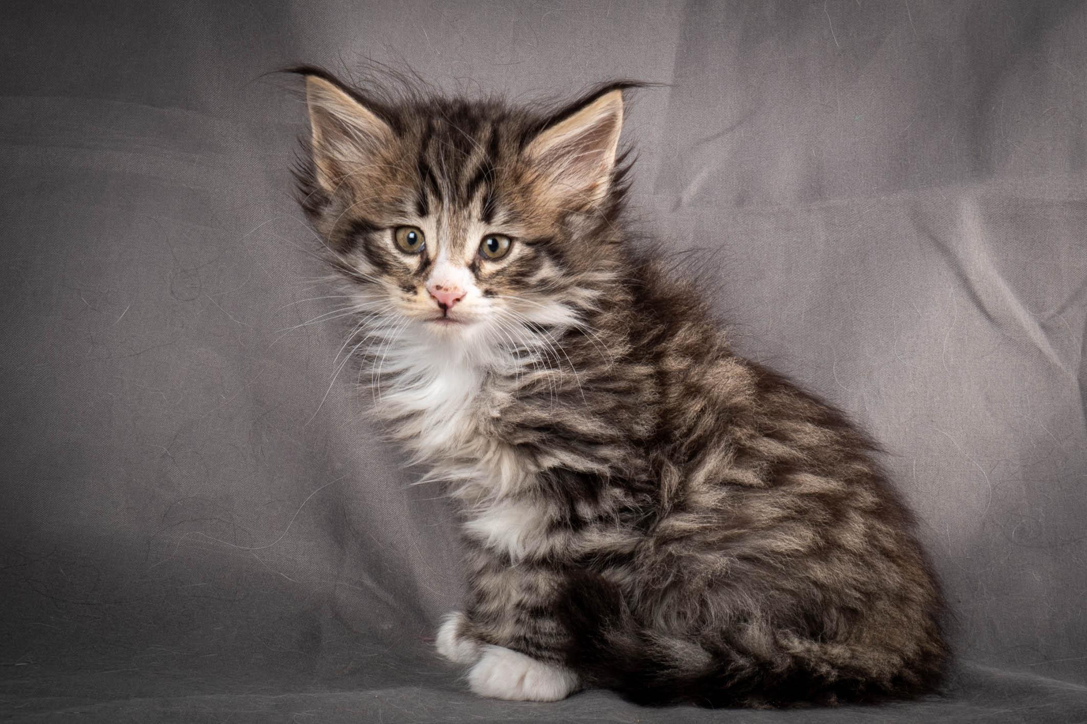 (N)Migoto's Yami, NFO n 09 24