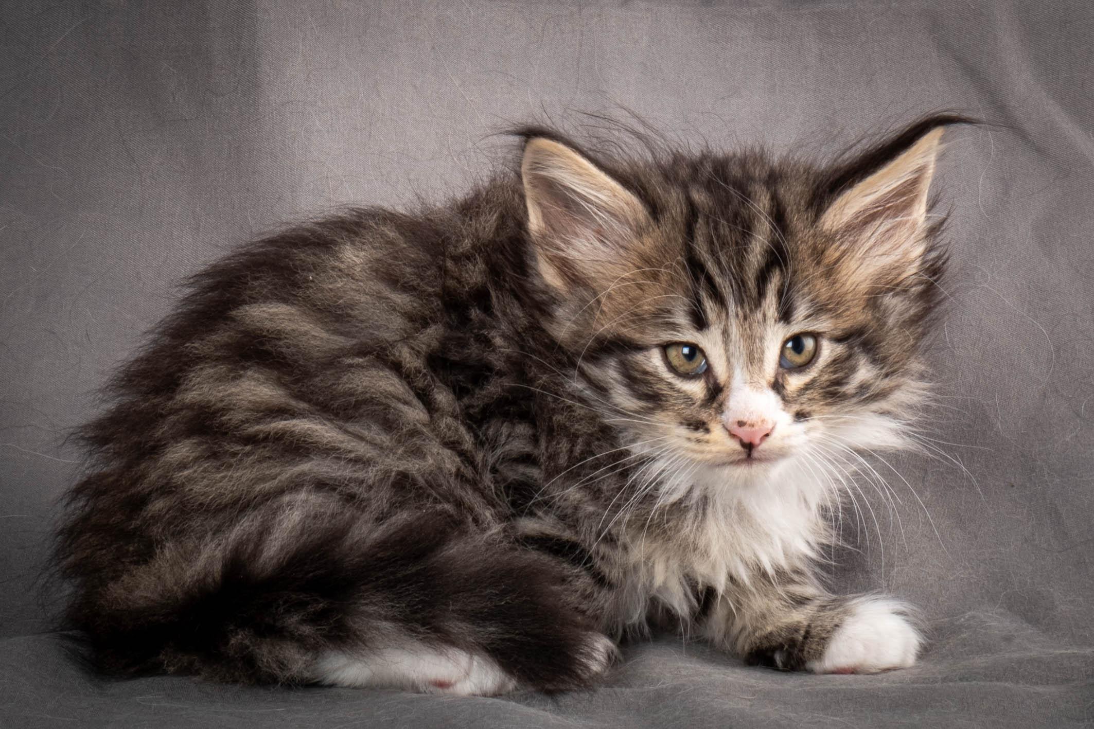 (N)Migoto's Yami, NFO n 09 24