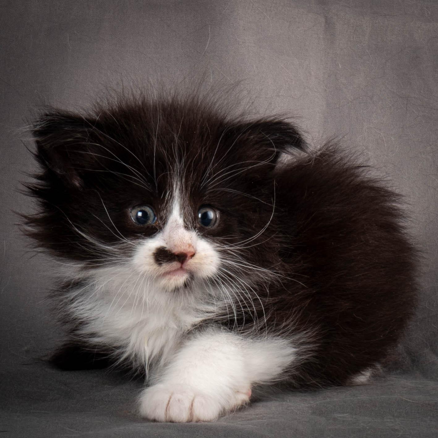 (N)Migoto's Yonna, NFO n 09