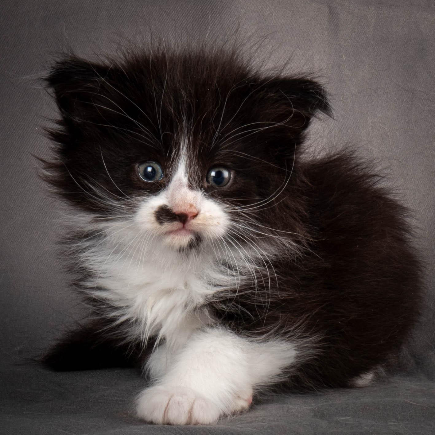 (N)Migoto's Yonna, NFO n 09