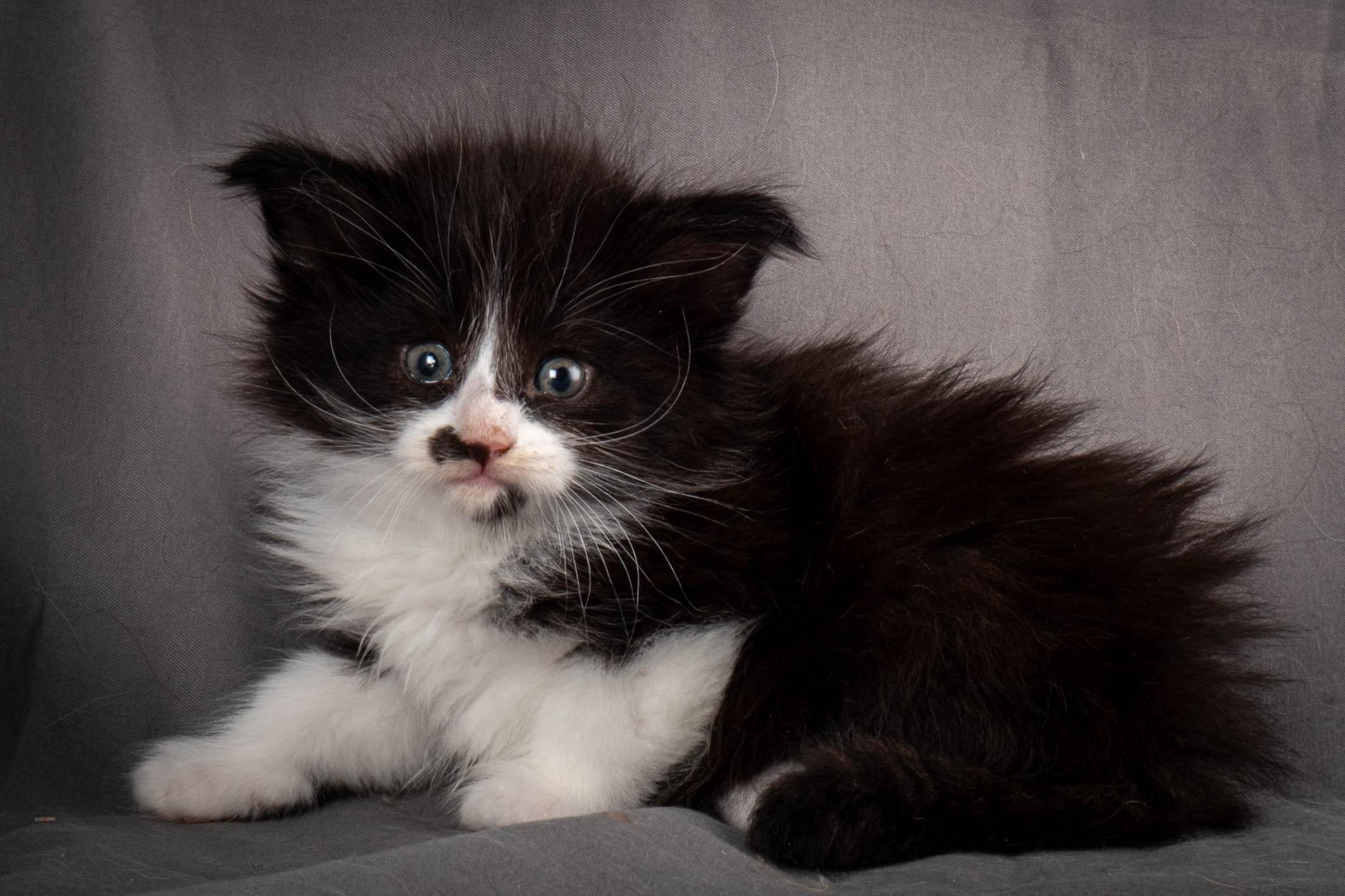 (N)Migoto's Yonna, NFO n 09