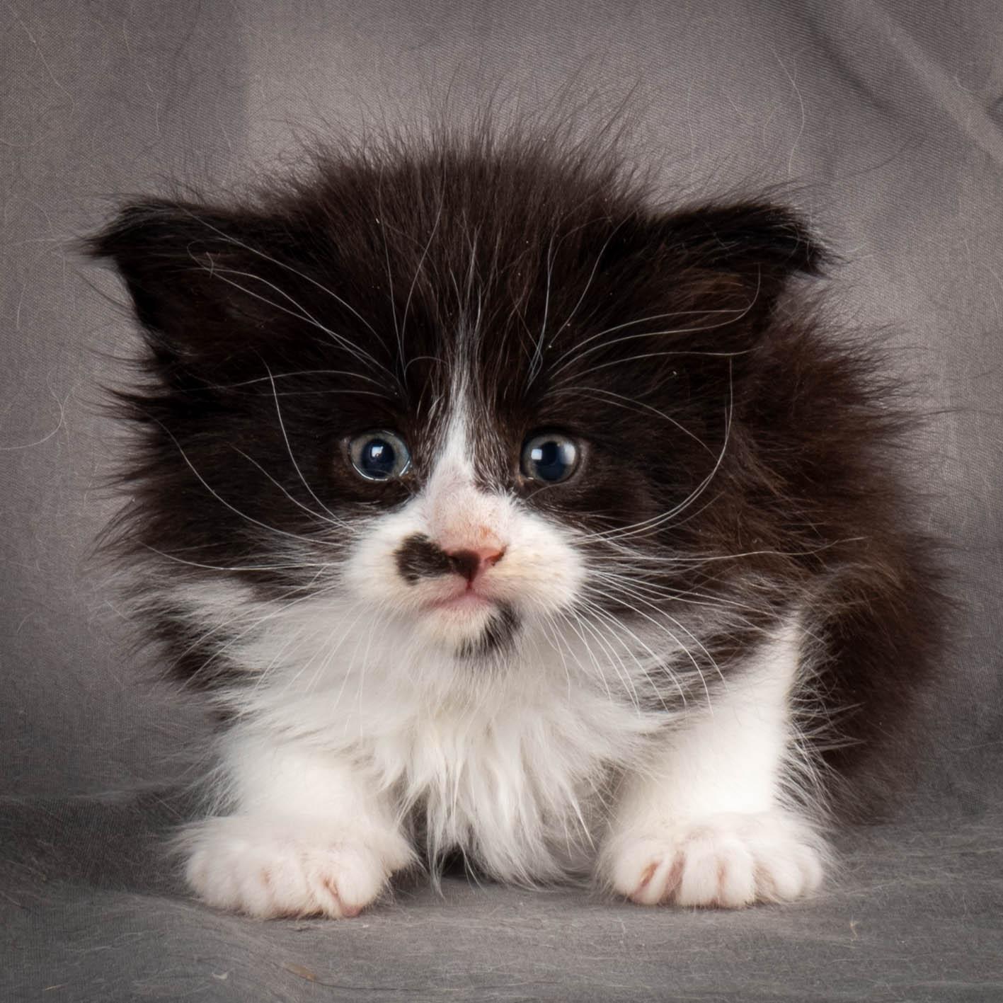 (N)Migoto's Yonna, NFO n 09