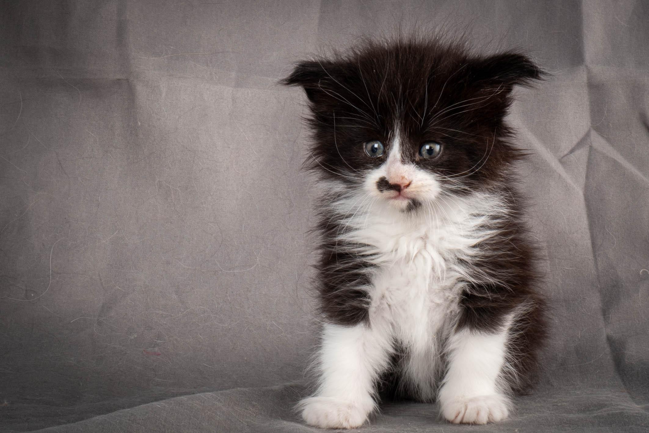 (N)Migoto's Yonna, NFO n 09