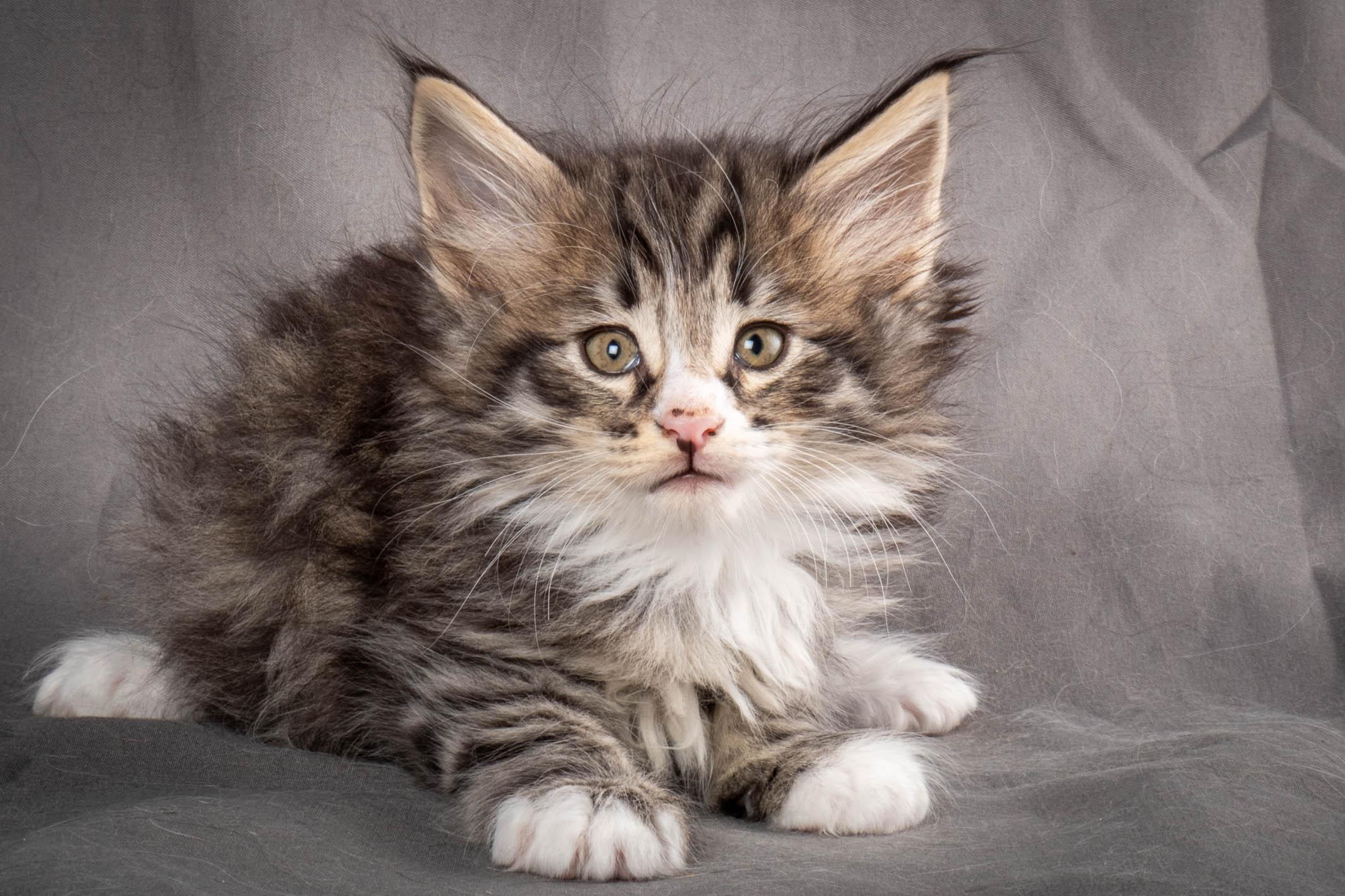 (N)Migoto's Yami, NFO n 09 24