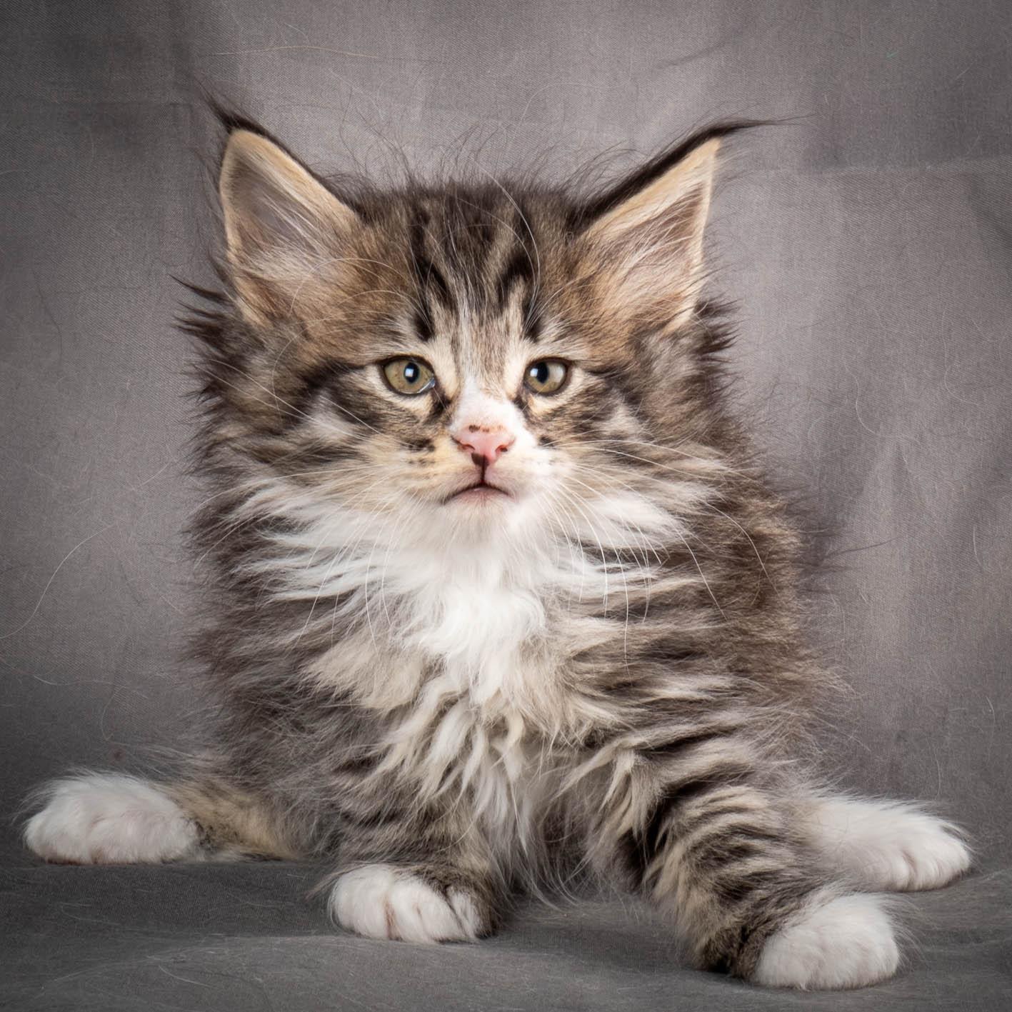 (N)Migoto's Yami, NFO n 09 24