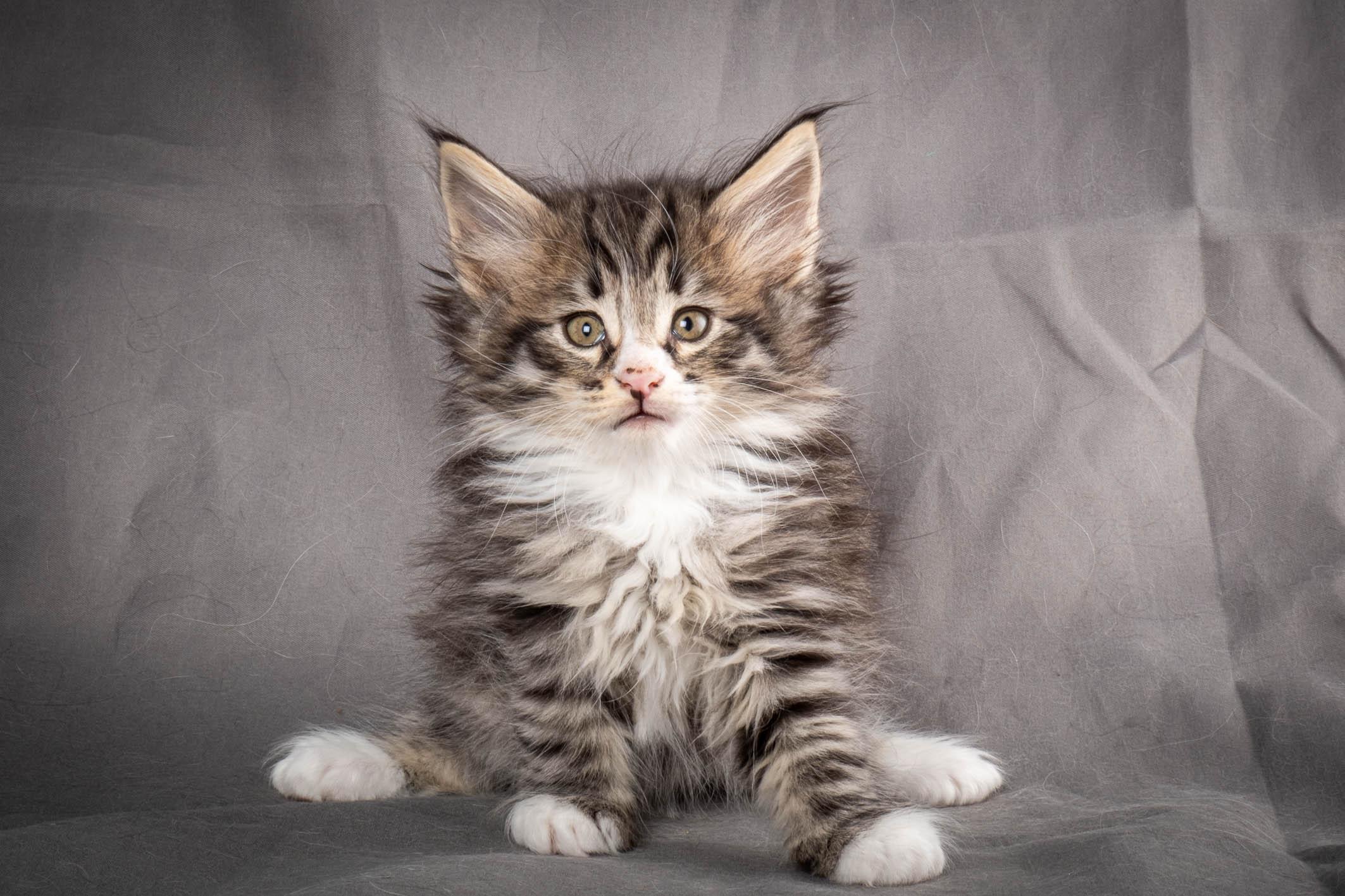 (N)Migoto's Yami, NFO n 09 24