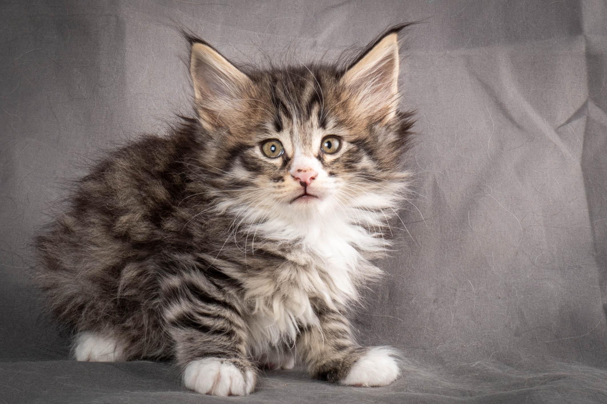 (N)Migoto's Yami, NFO n 09 24