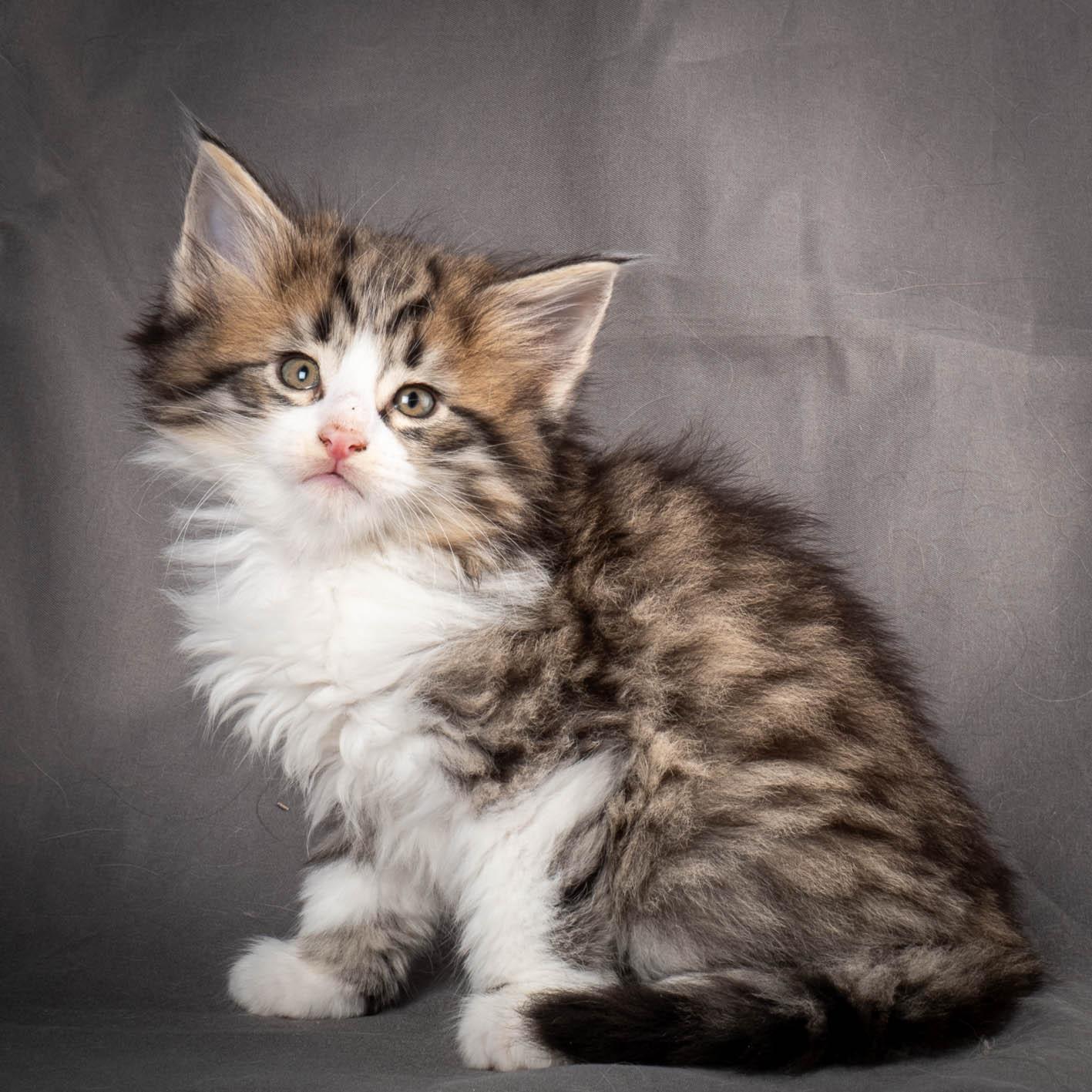 (N)Migoto's Yared, NFO n 09 24