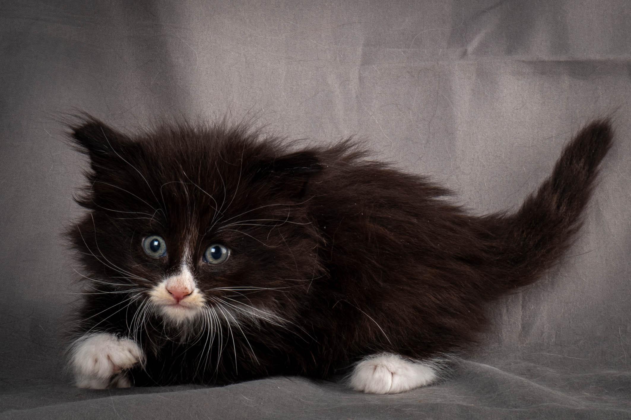 (N)Migoto's Yatzy, NFO n 09