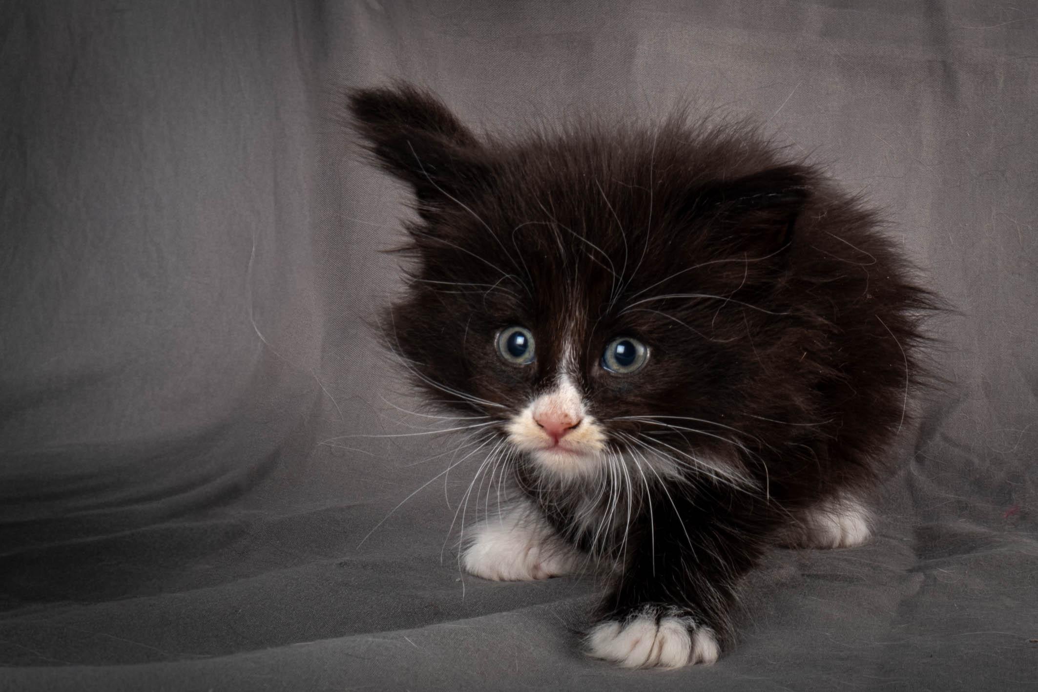 (N)Migoto's Yatzy, NFO n 09