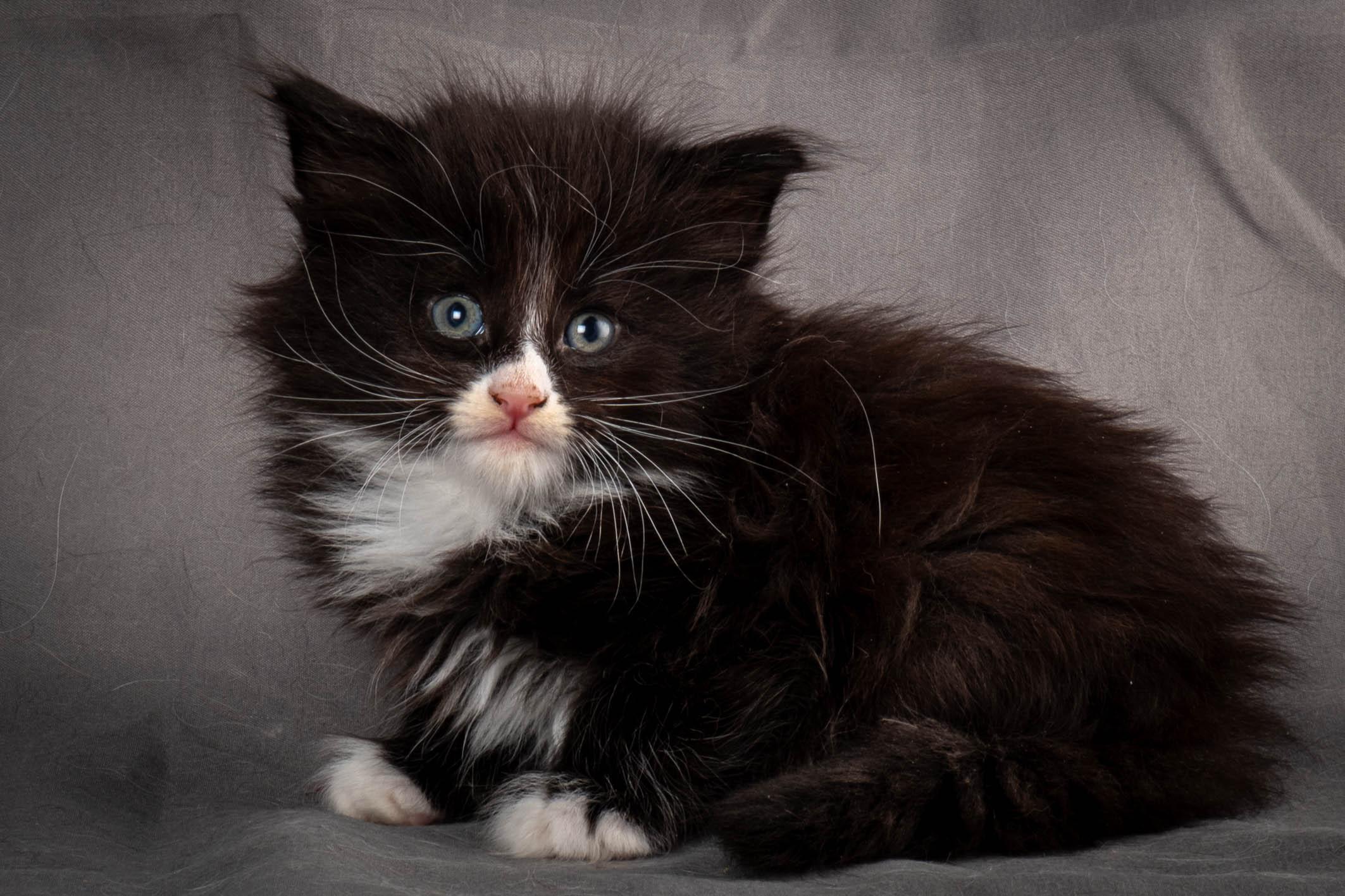 (N)Migoto's Yatzy, NFO n 09