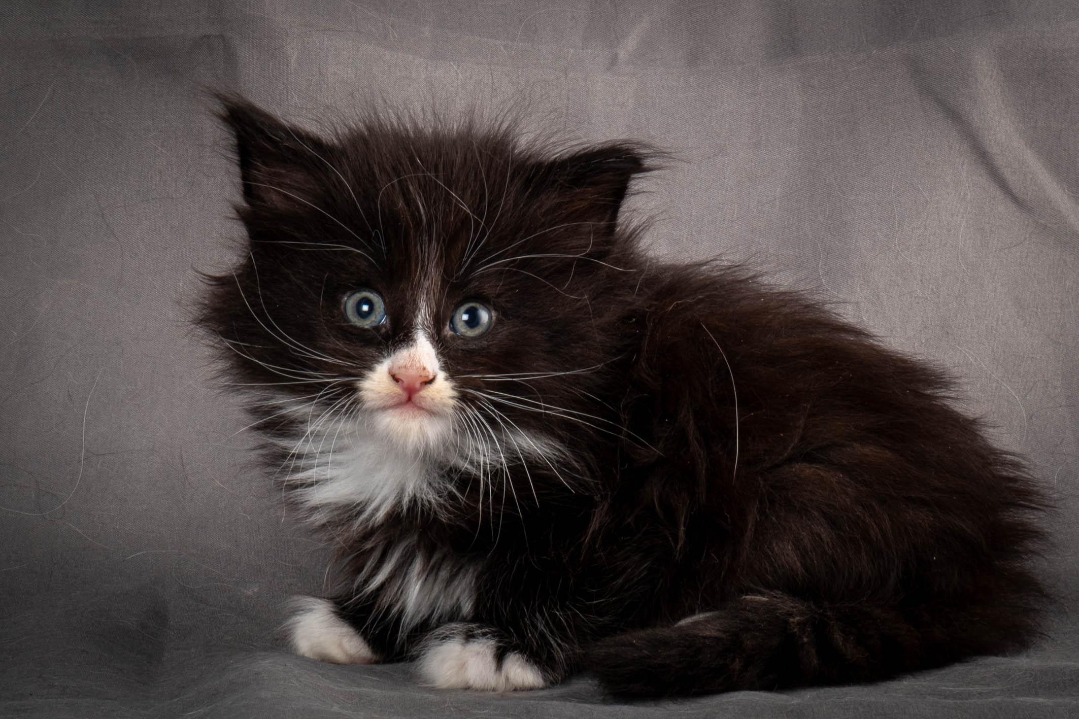 (N)Migoto's Yatzy, NFO n 09