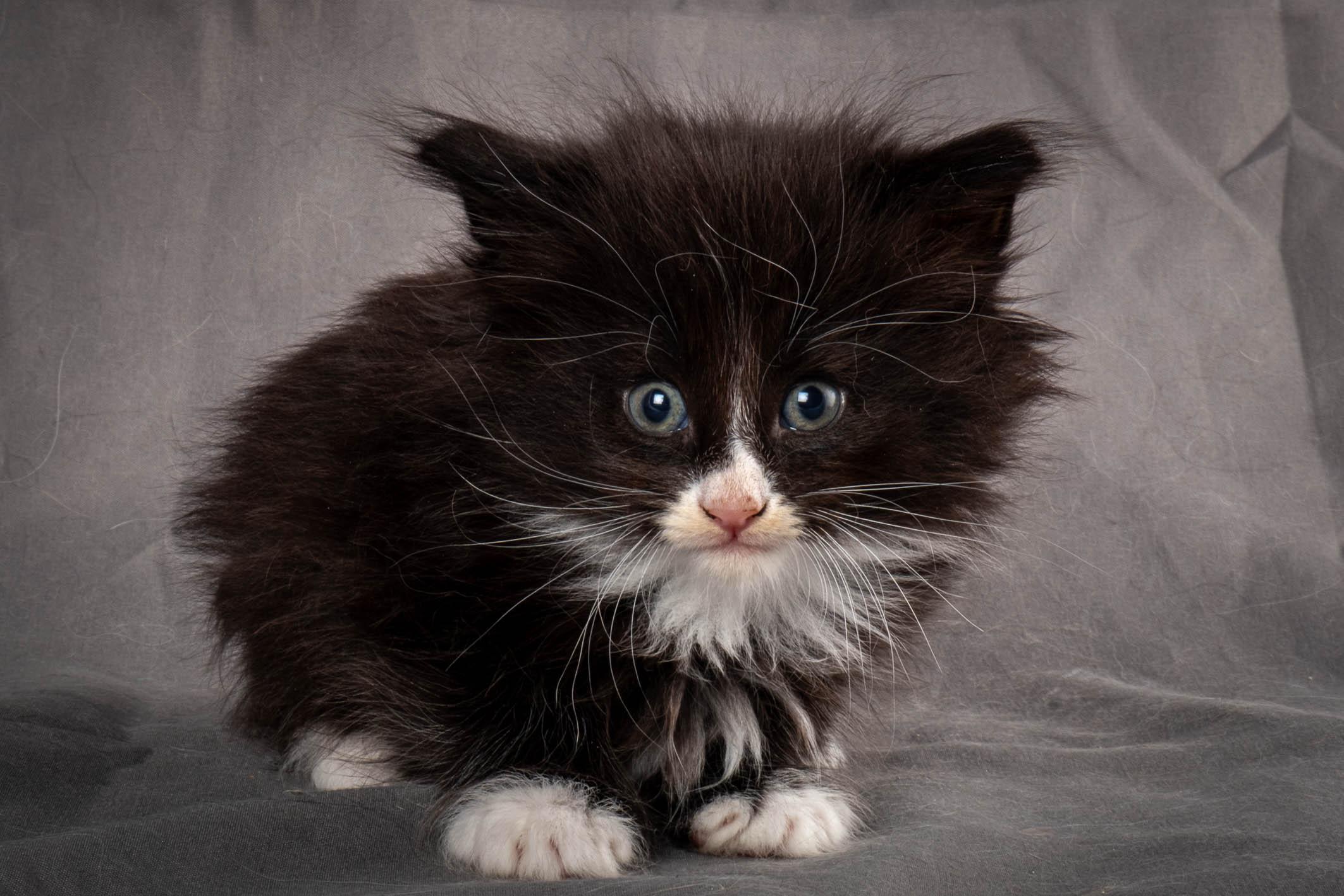 (N)Migoto's Yatzy, NFO n 09