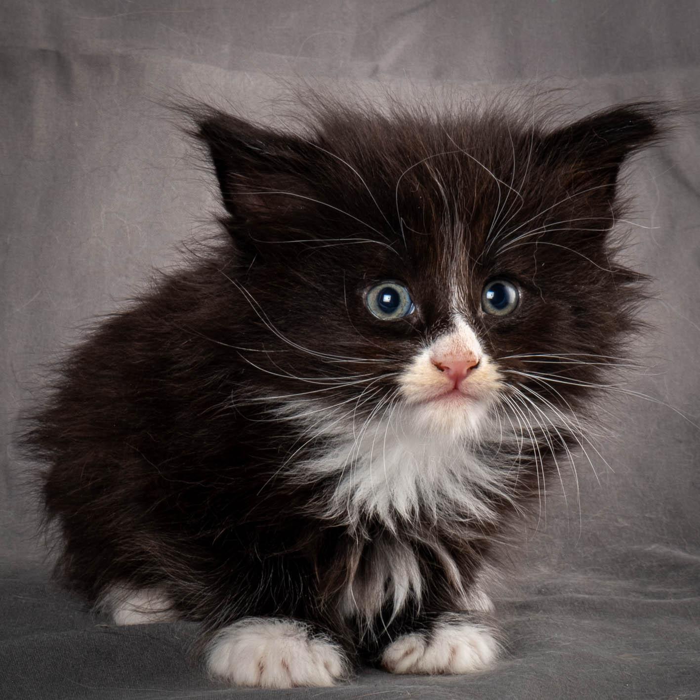 (N)Migoto's Yatzy, NFO n 09