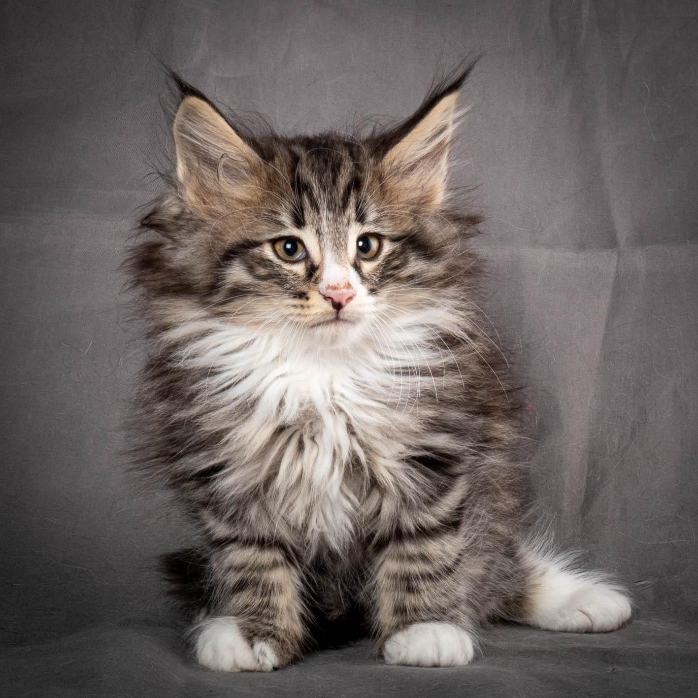 (N)Migoto's Yami, NFO n 09 24