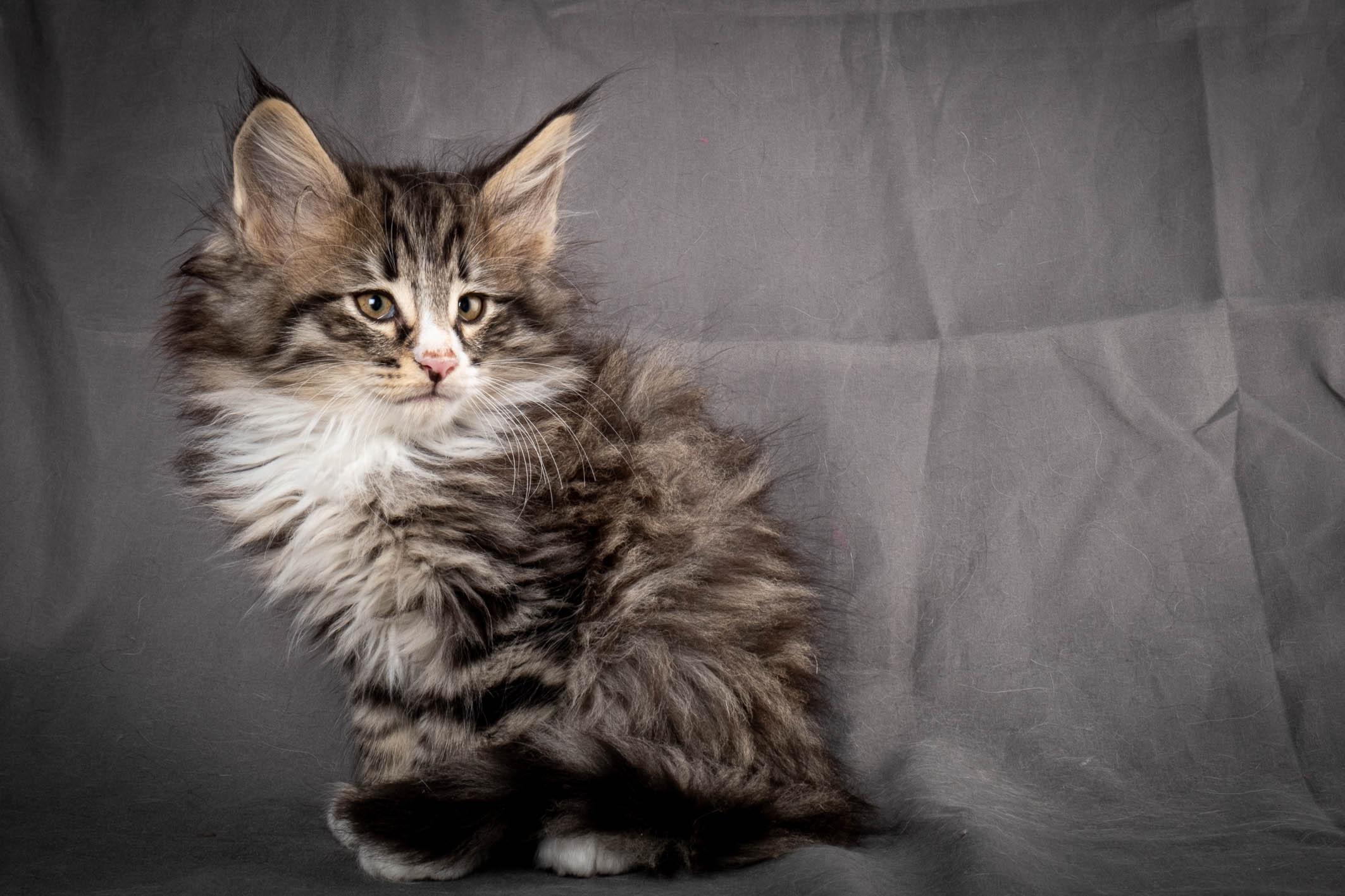 (N)Migoto's Yami, NFO n 09 24