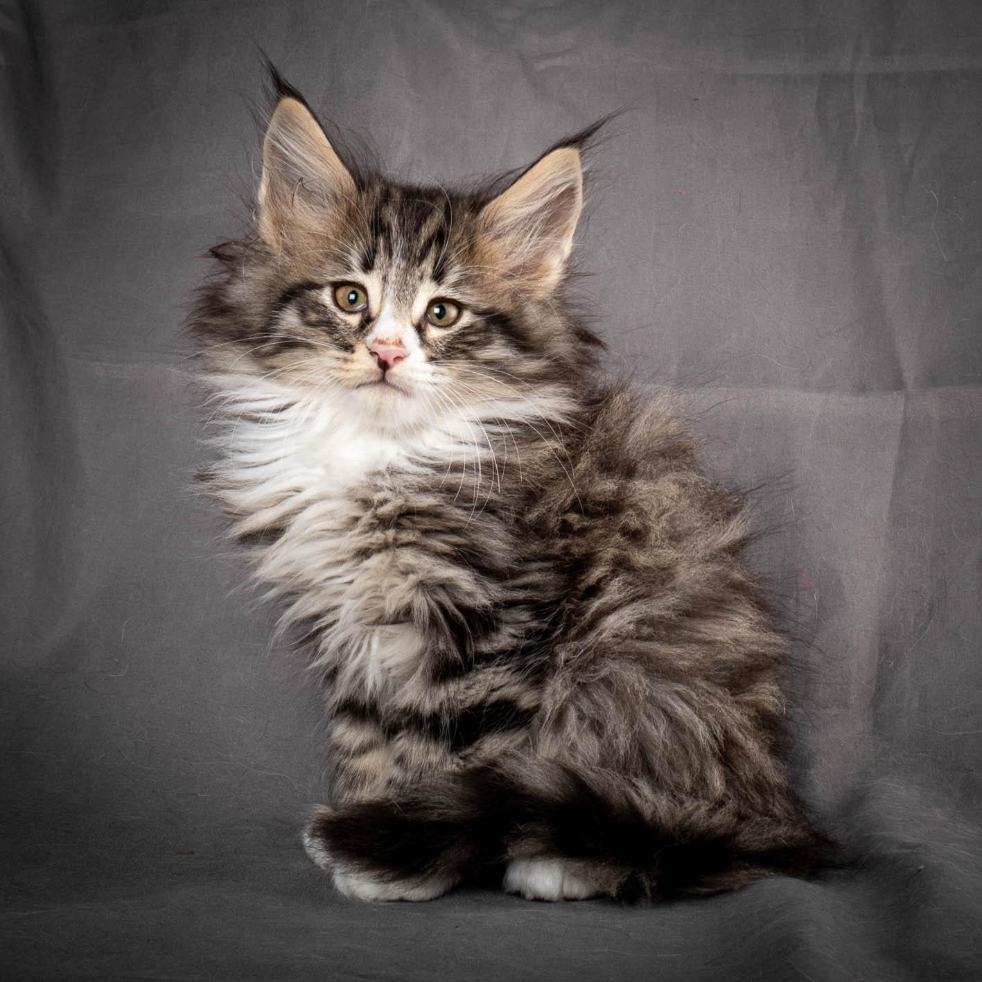 (N)Migoto's Yami, NFO n 09 24