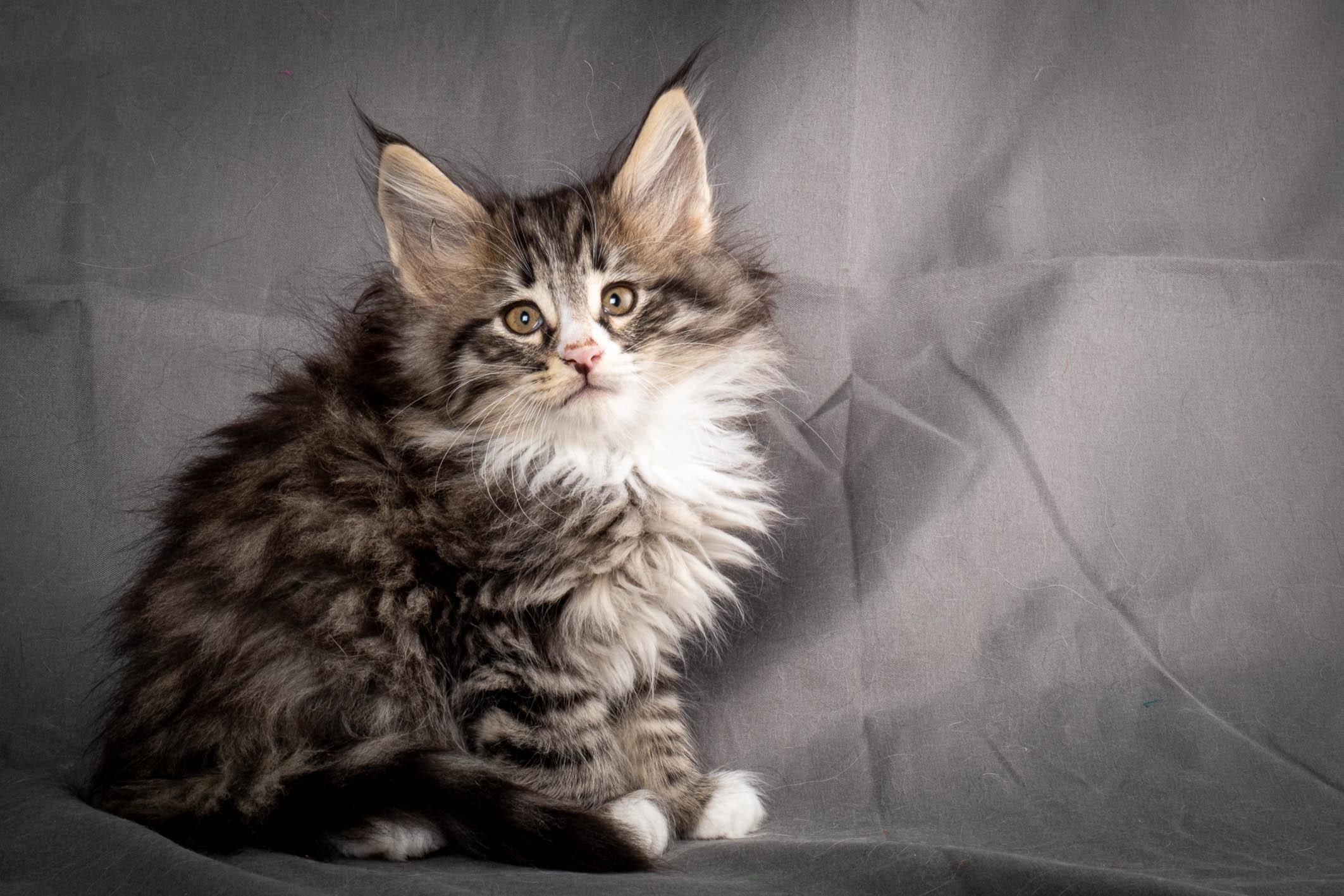 (N)Migoto's Yami, NFO n 09 24