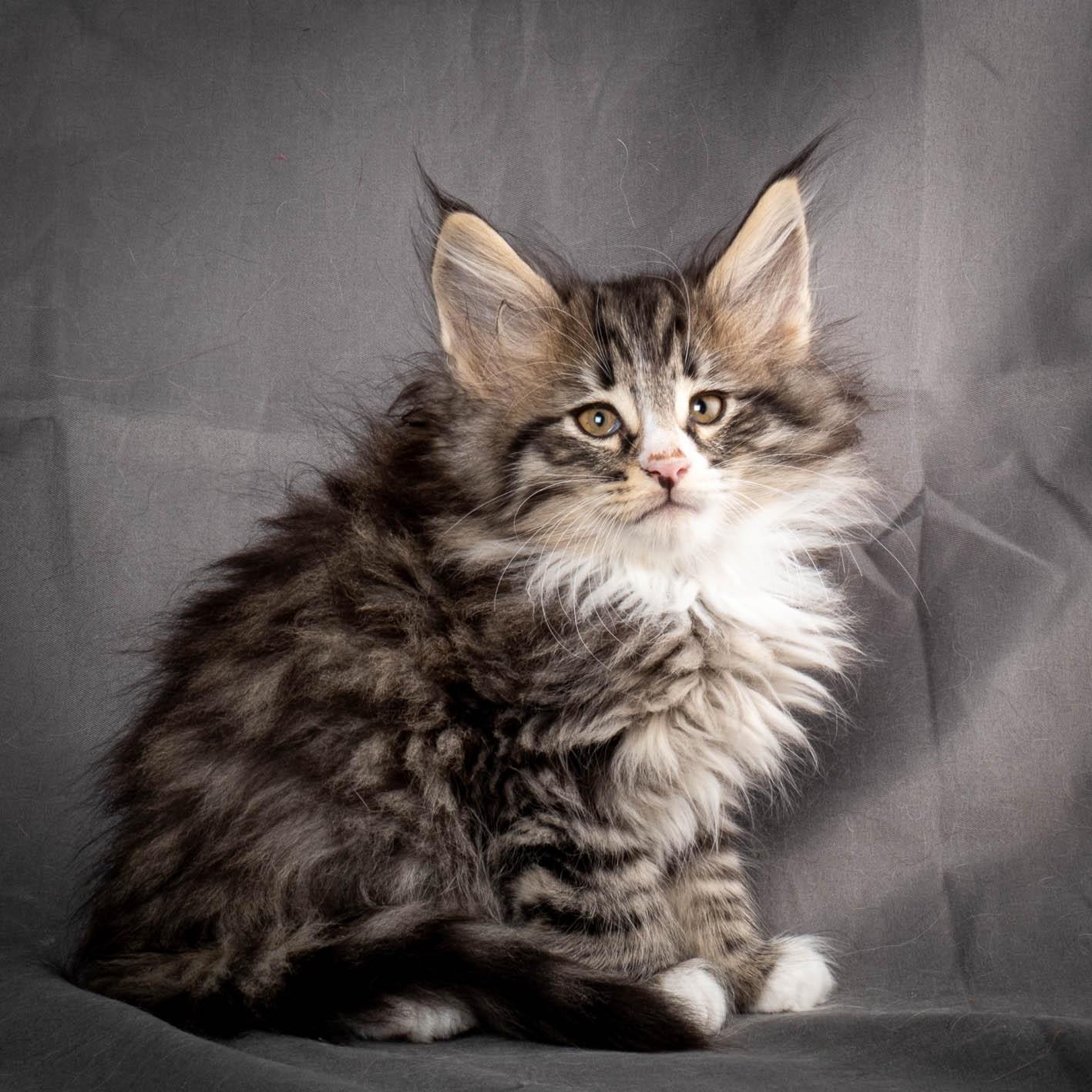 (N)Migoto's Yami, NFO n 09 24