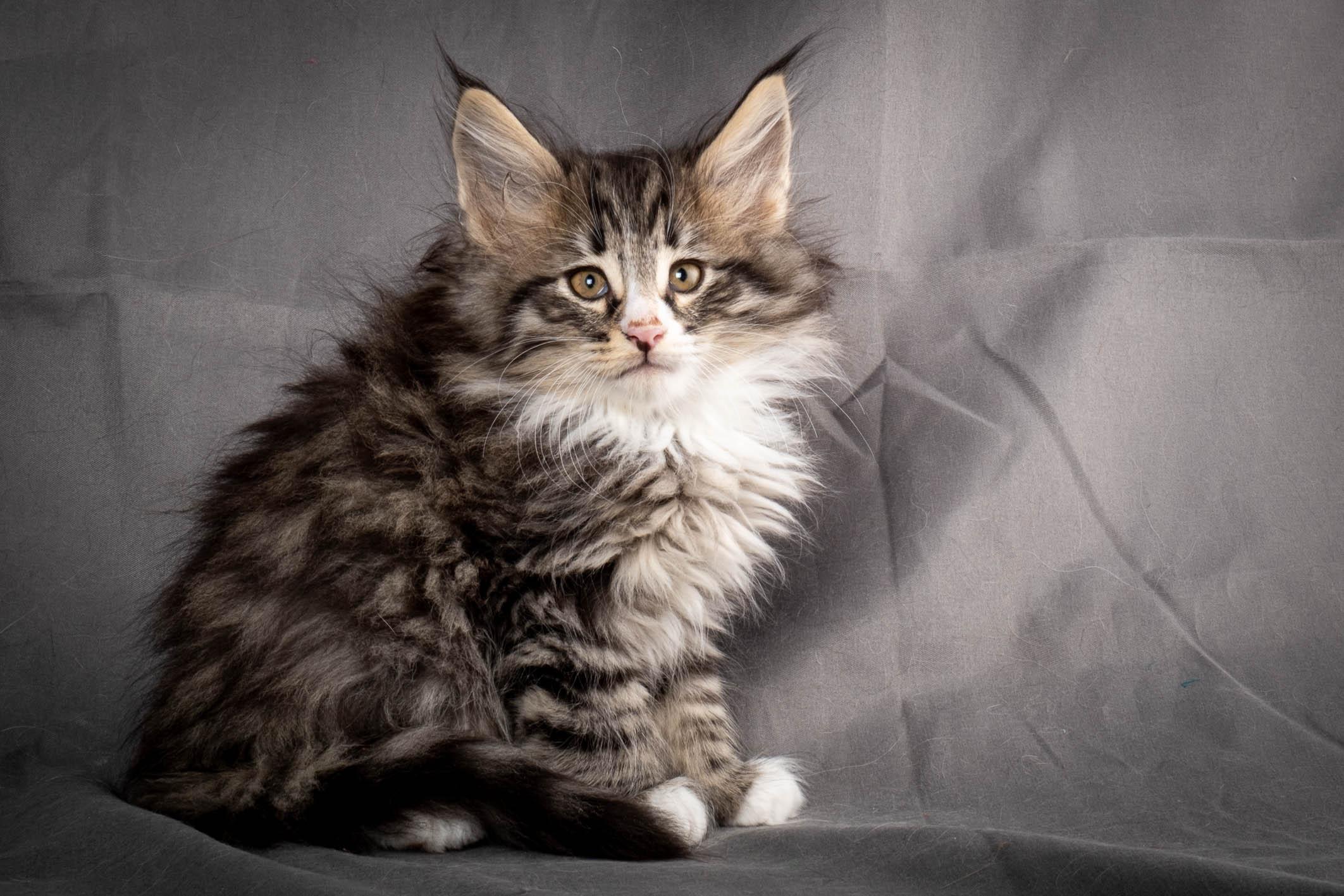 (N)Migoto's Yami, NFO n 09 24