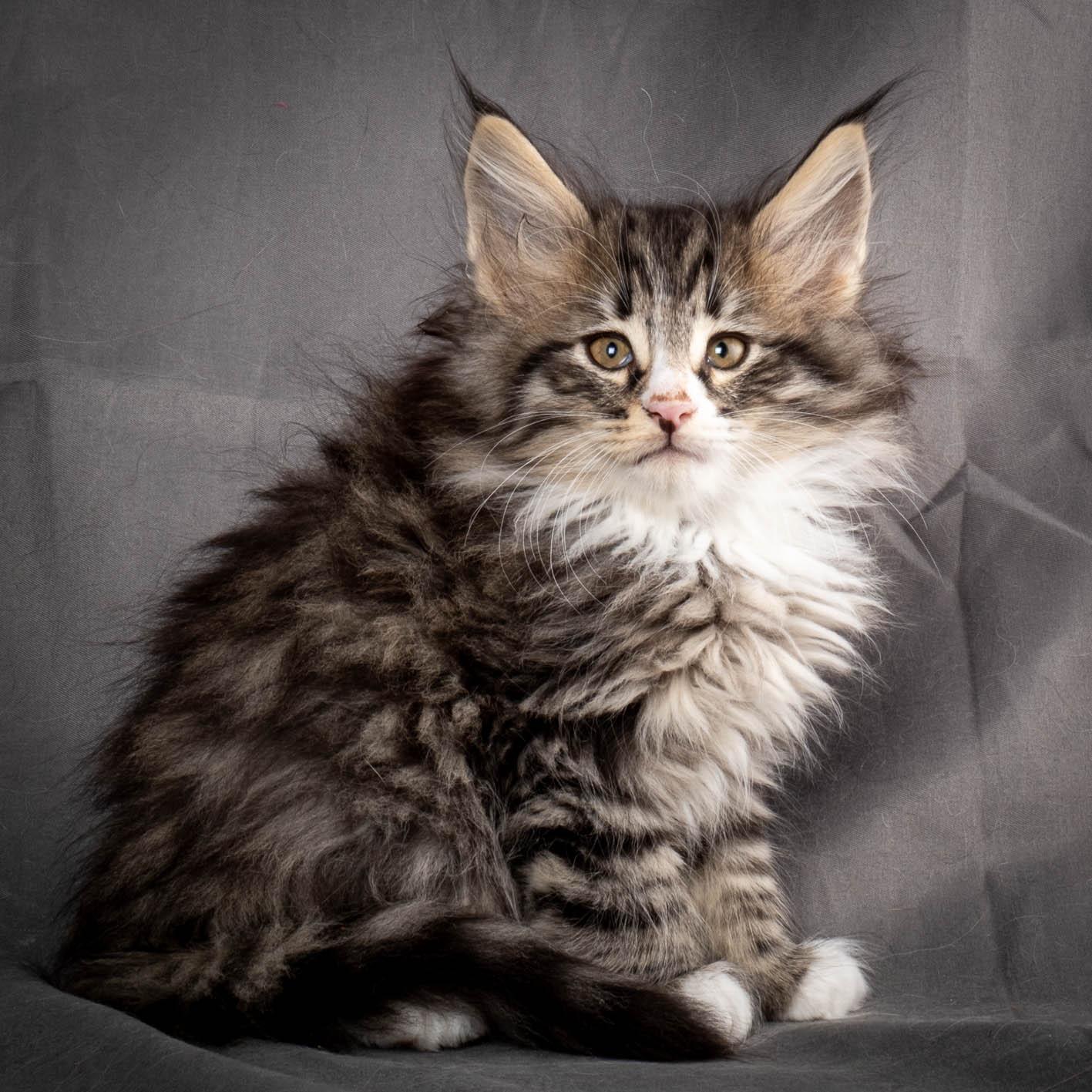 (N)Migoto's Yami, NFO n 09 24