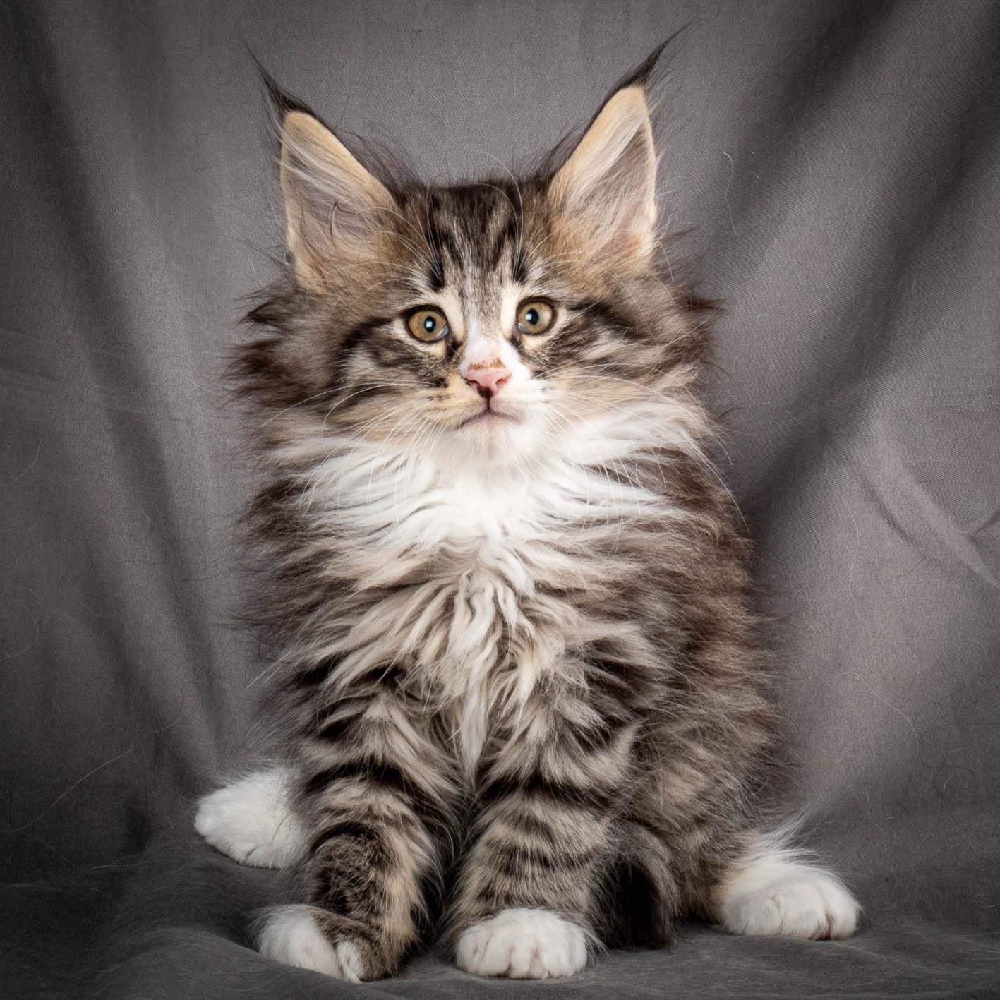 (N)Migoto's Yami, NFO n 09 24