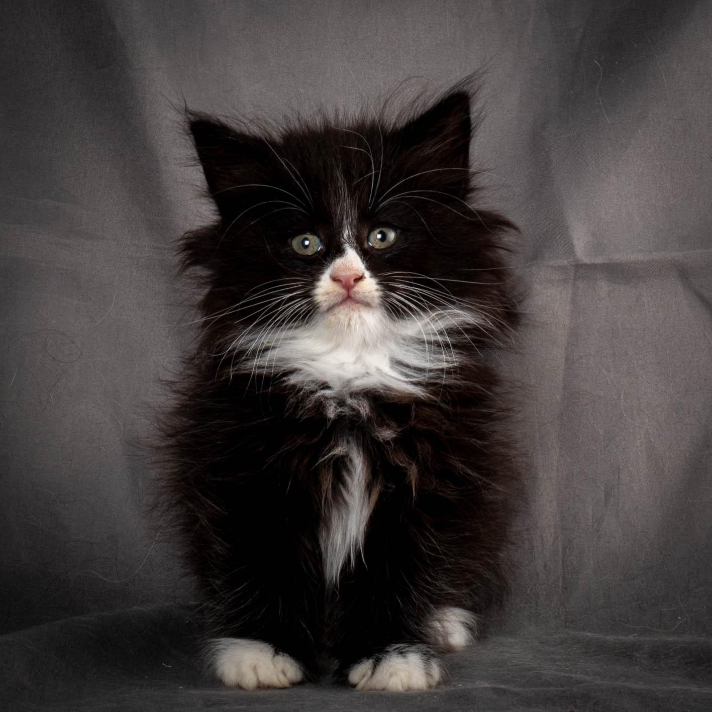 (N)Migoto's Yatzy, NFO n 09