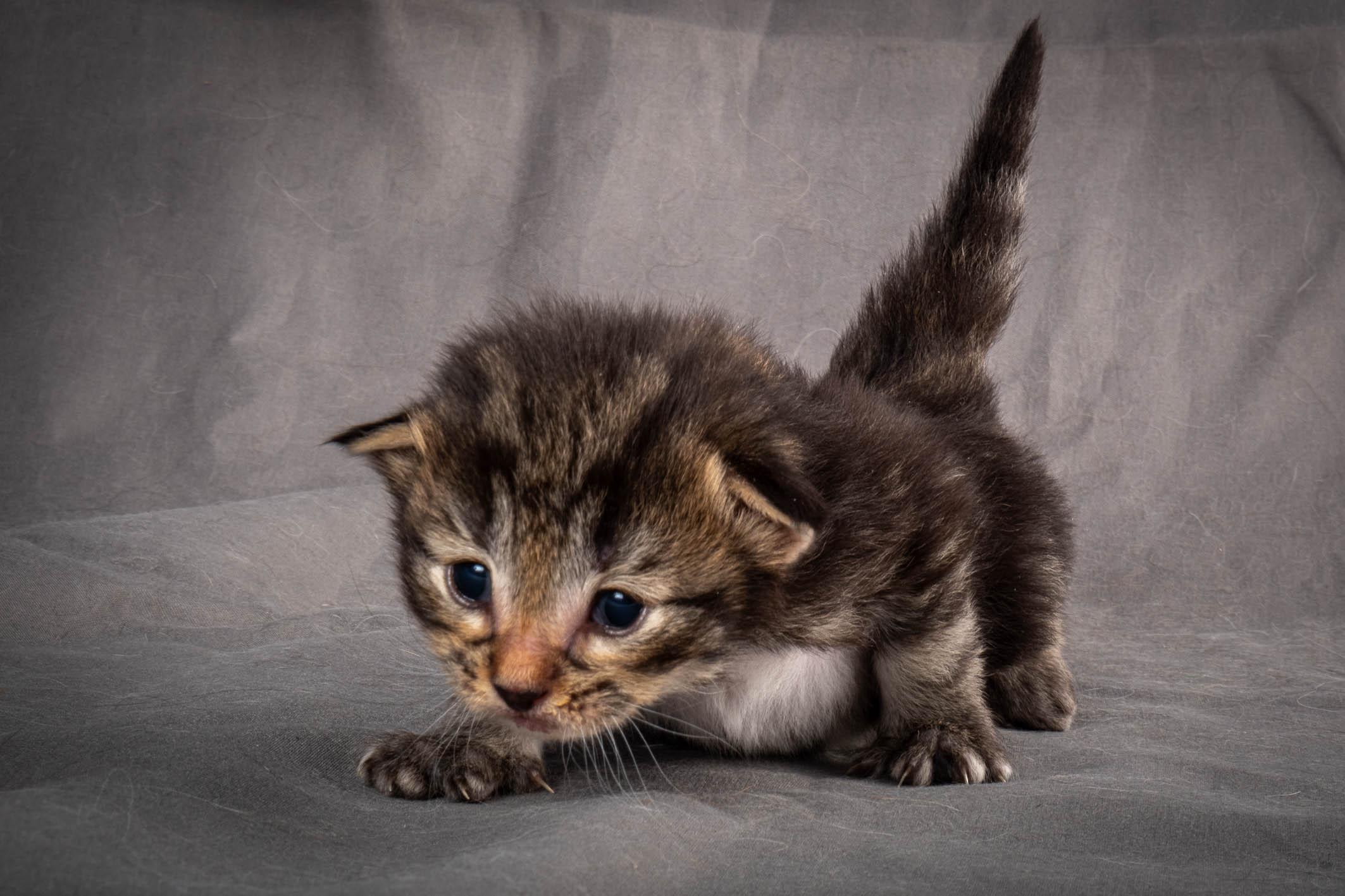 (N)Migoto's August, NFO a (09) 22