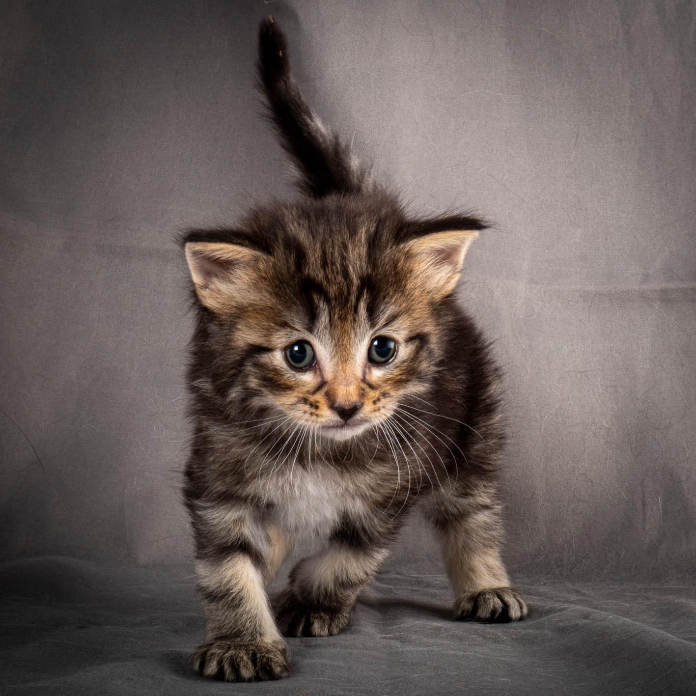 (N)Migoto's August, NFO a (09) 22