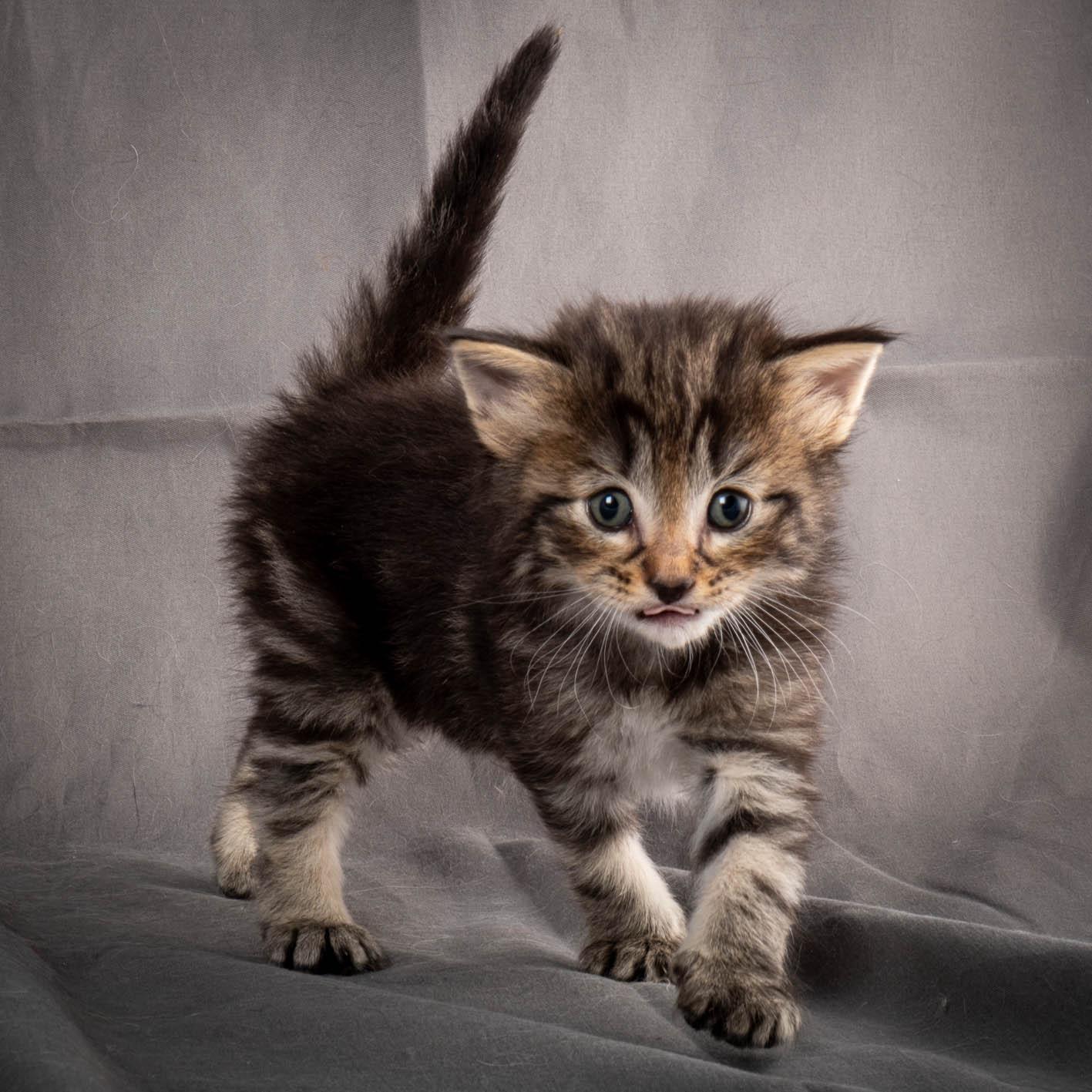 (N)Migoto's August, NFO a (09) 22