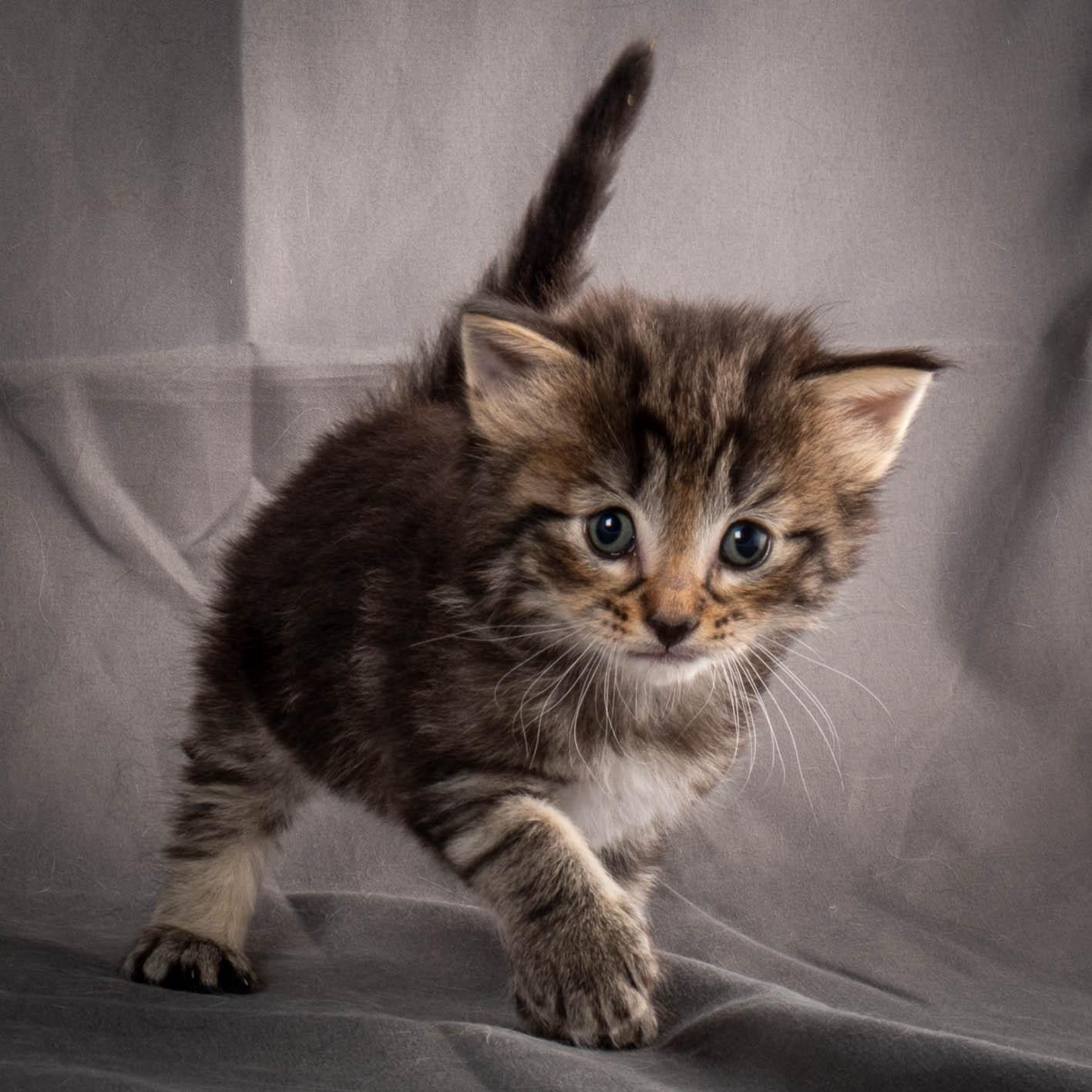 (N)Migoto's August, NFO a (09) 22