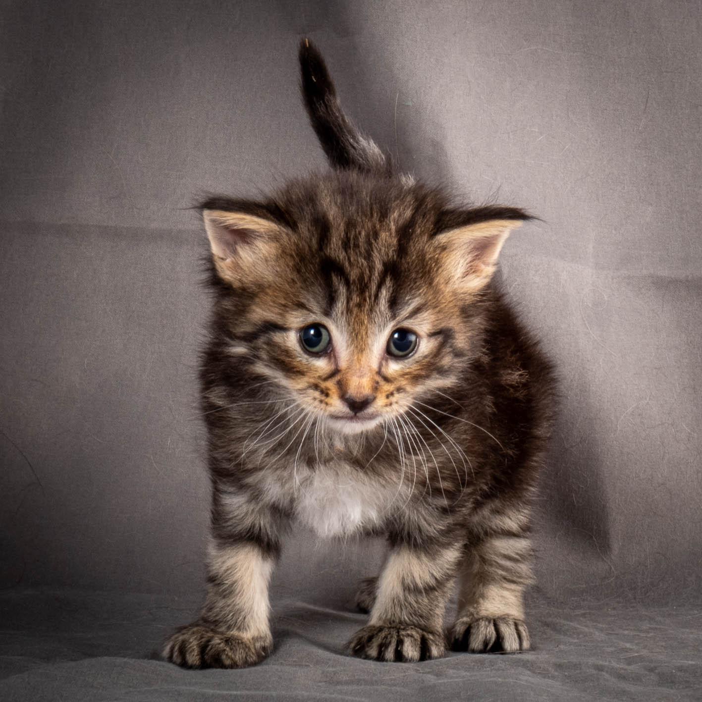 (N)Migoto's August, NFO a (09) 22