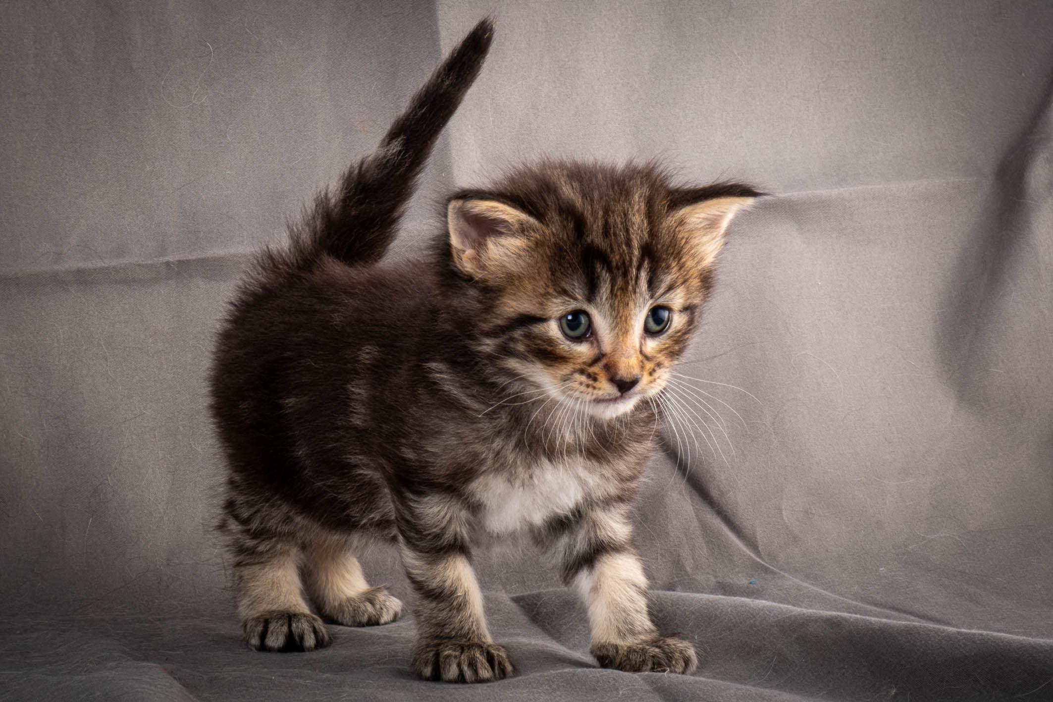 (N)Migoto's August, NFO a (09) 22