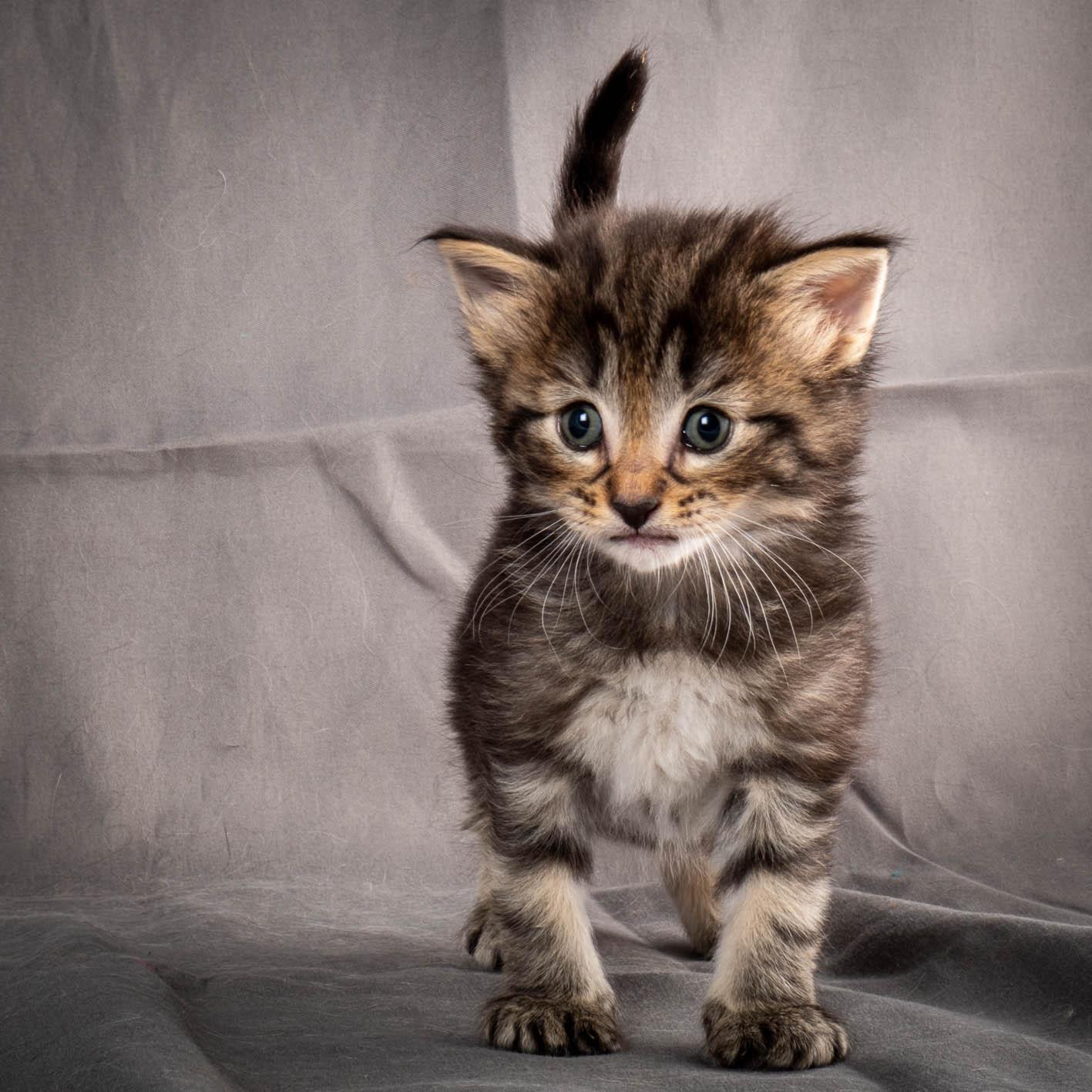 (N)Migoto's August, NFO a (09) 22