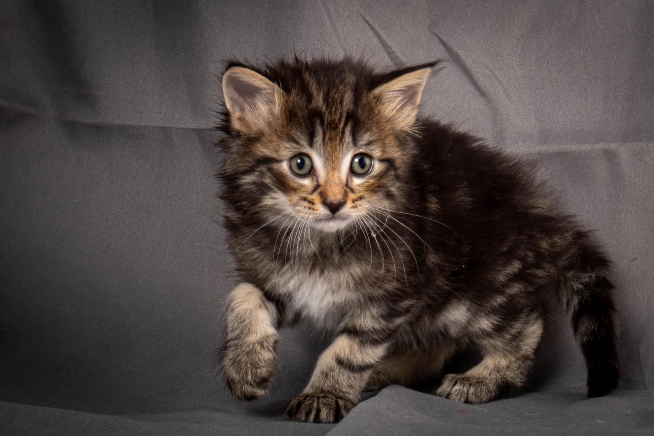 (N)Migoto's August, NFO a (09) 22