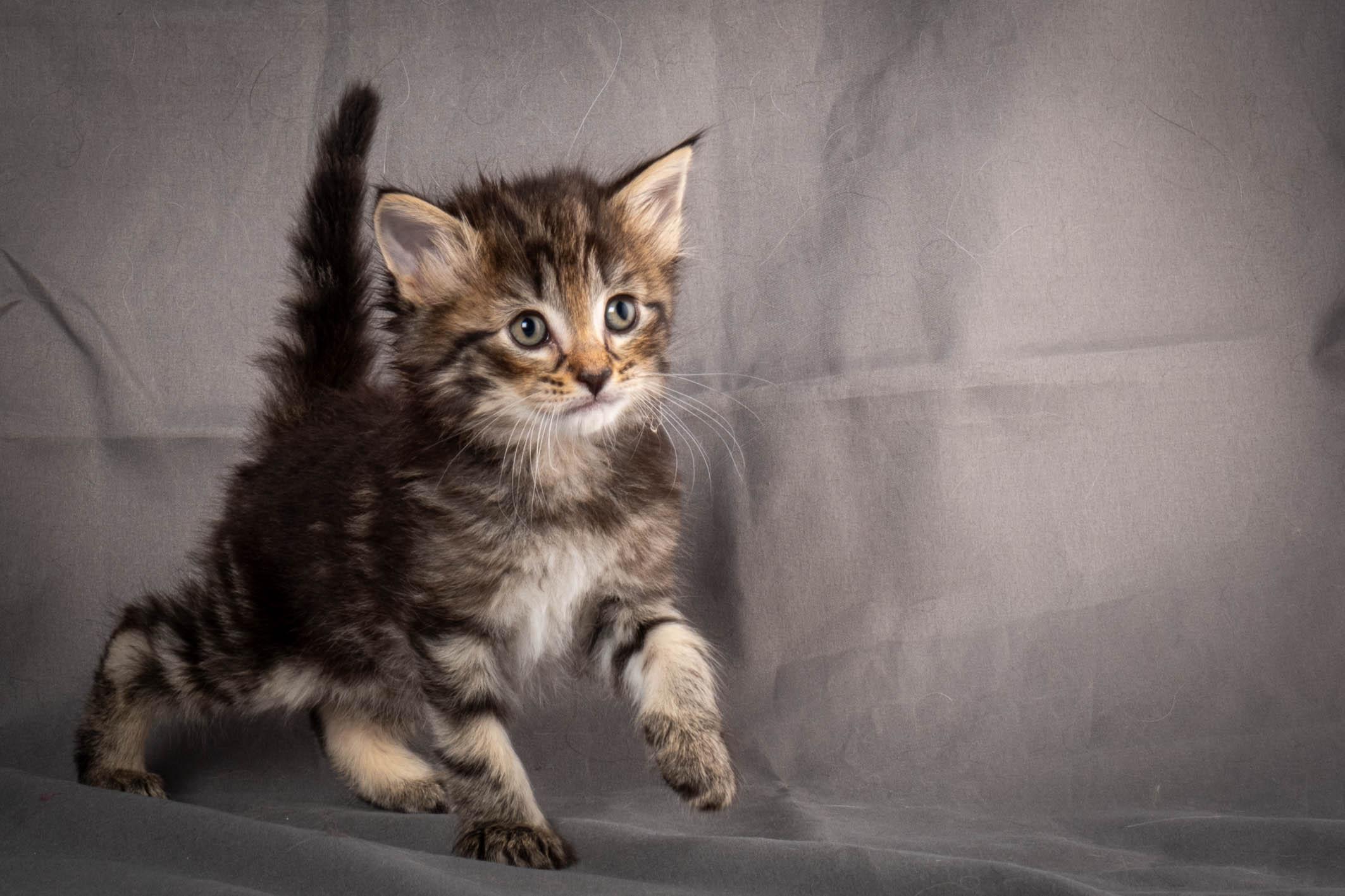 (N)Migoto's August, NFO a (09) 22