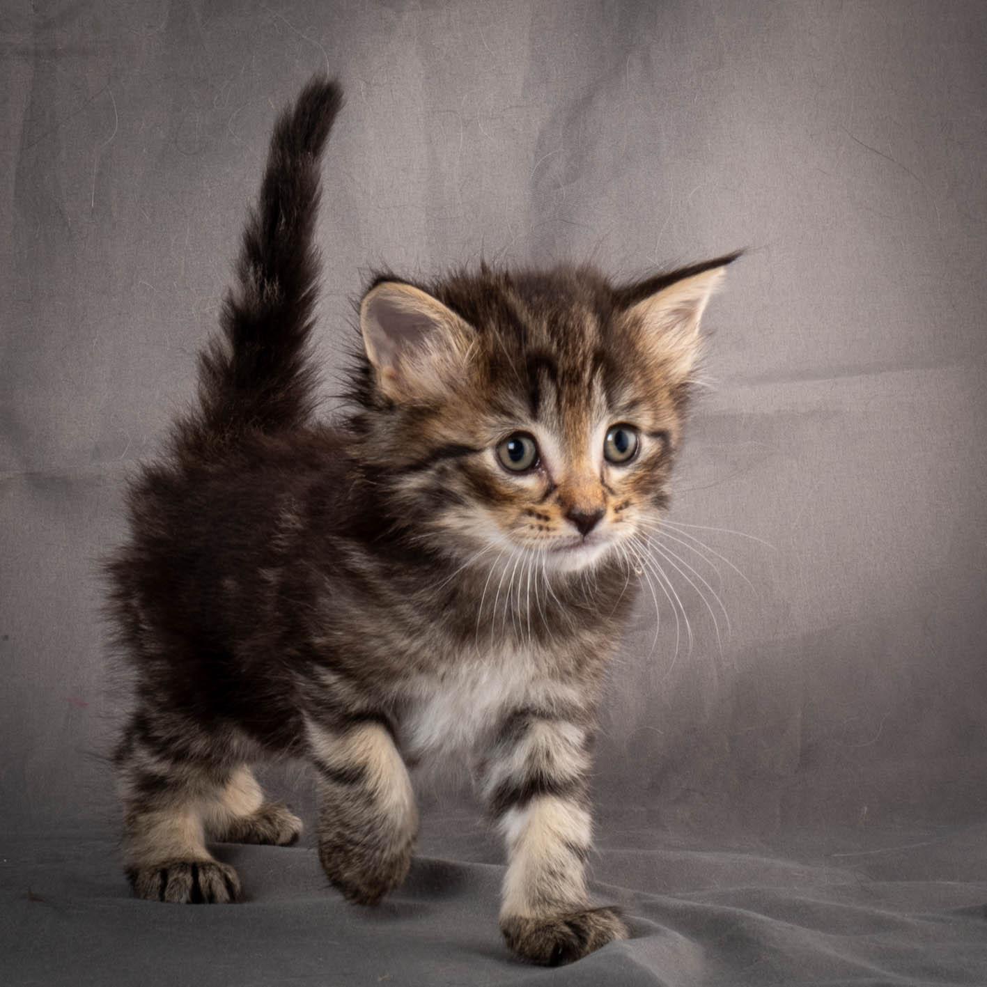 (N)Migoto's August, NFO a (09) 22