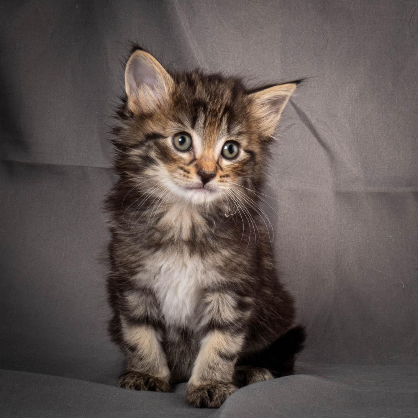 (N)Migoto's August, NFO a (09) 22