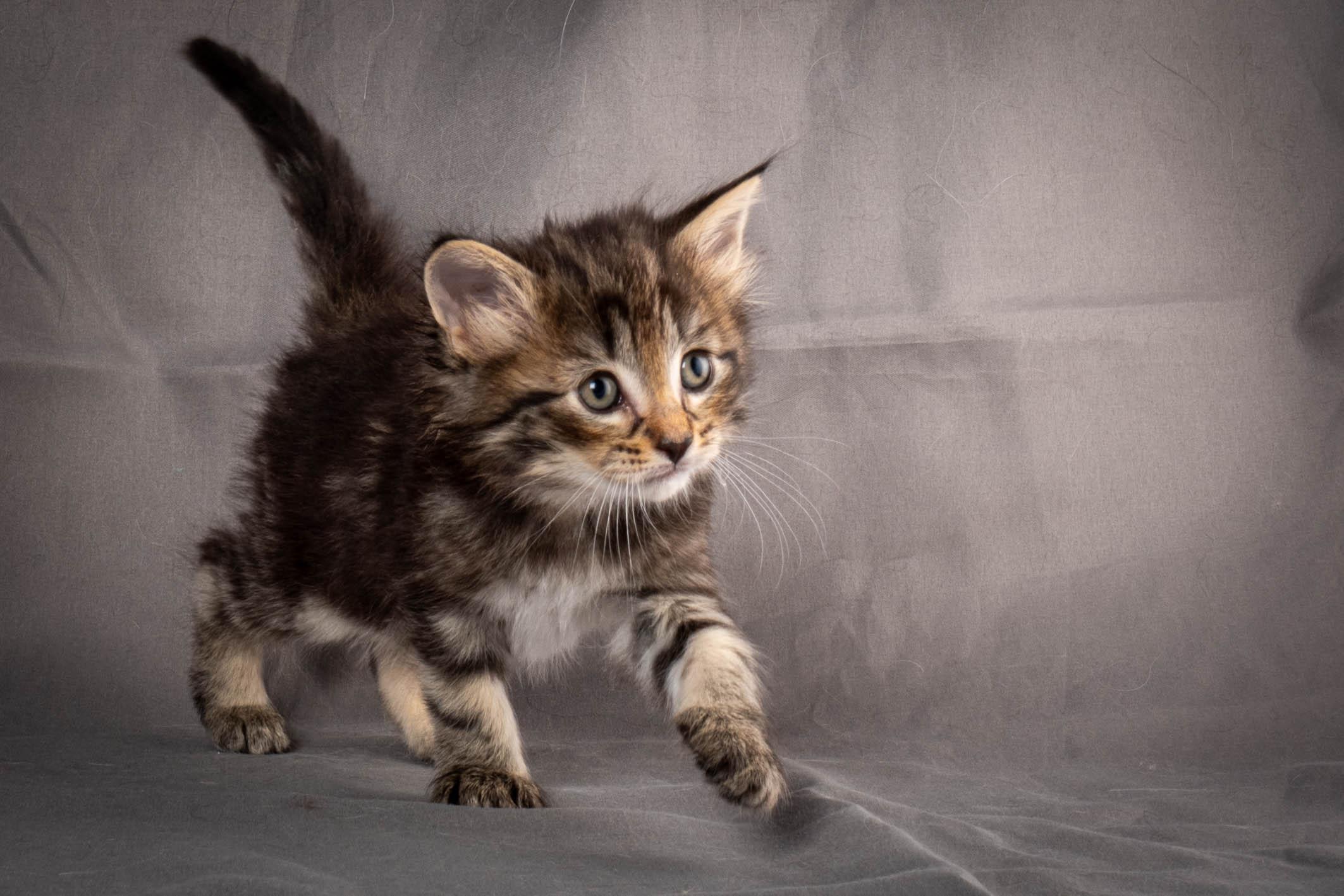 (N)Migoto's August, NFO a (09) 22