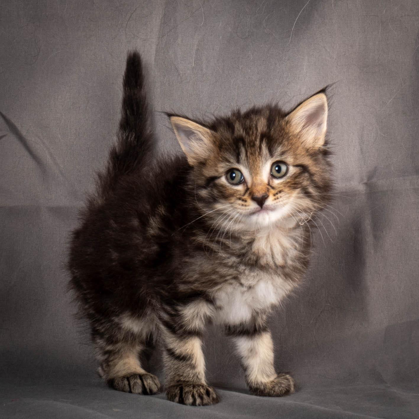 (N)Migoto's August, NFO a (09) 22