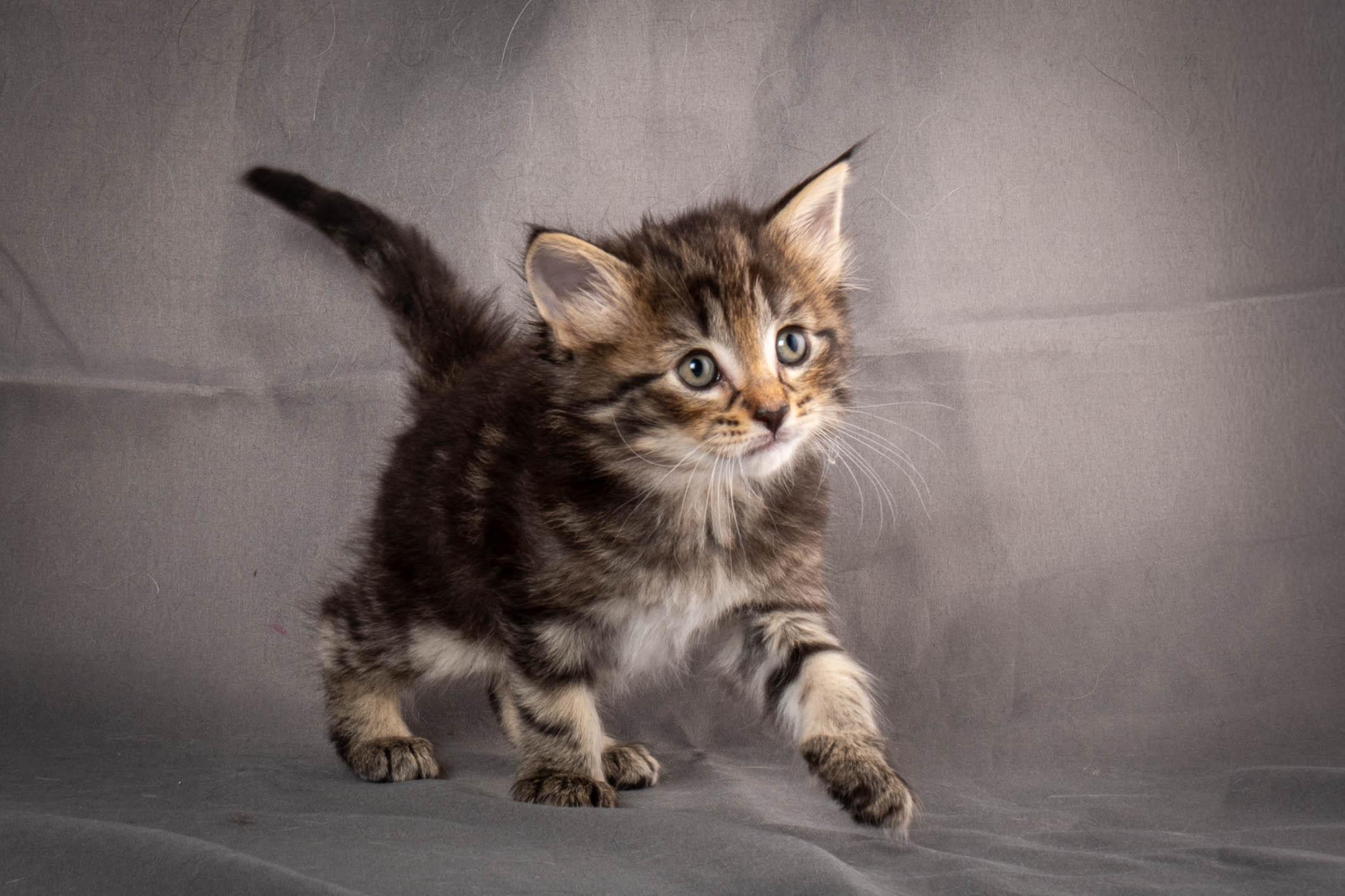 (N)Migoto's August, NFO a (09) 22