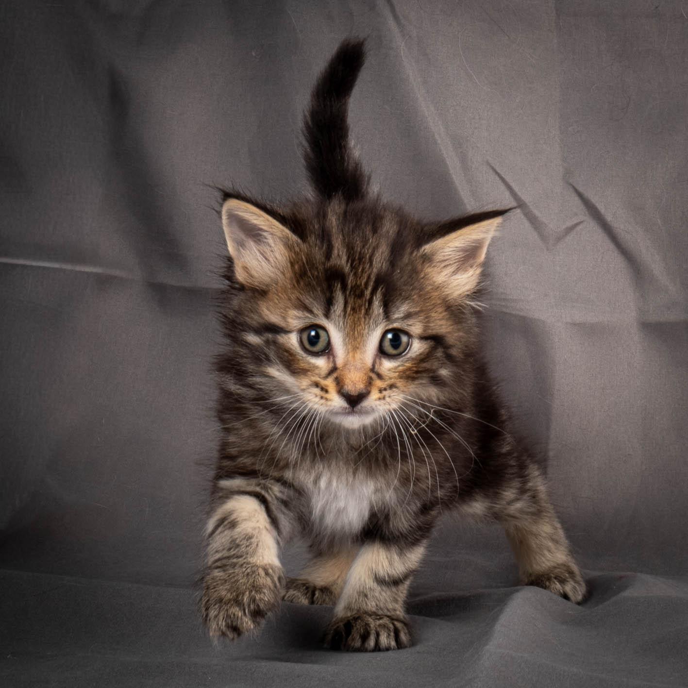 (N)Migoto's August, NFO a (09) 22