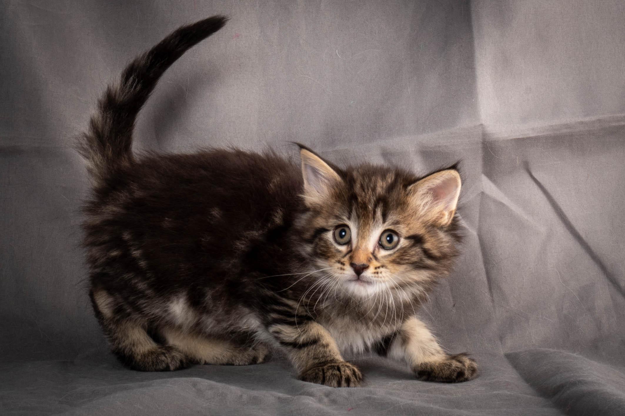 (N)Migoto's August, NFO a (09) 22