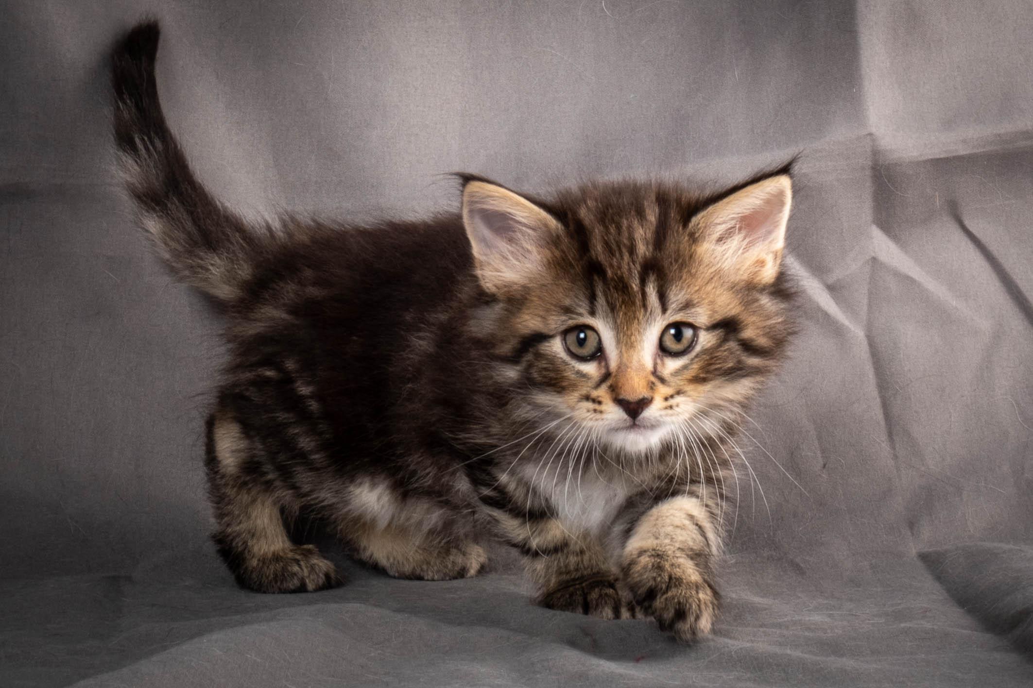 (N)Migoto's August, NFO a (09) 22