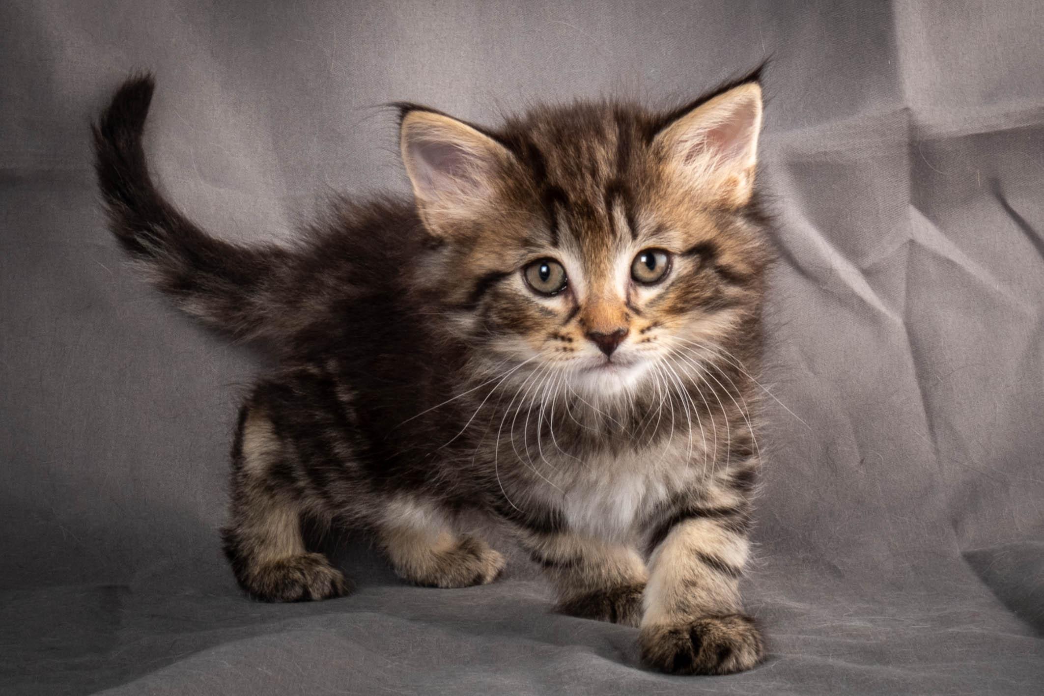 (N)Migoto's August, NFO a (09) 22