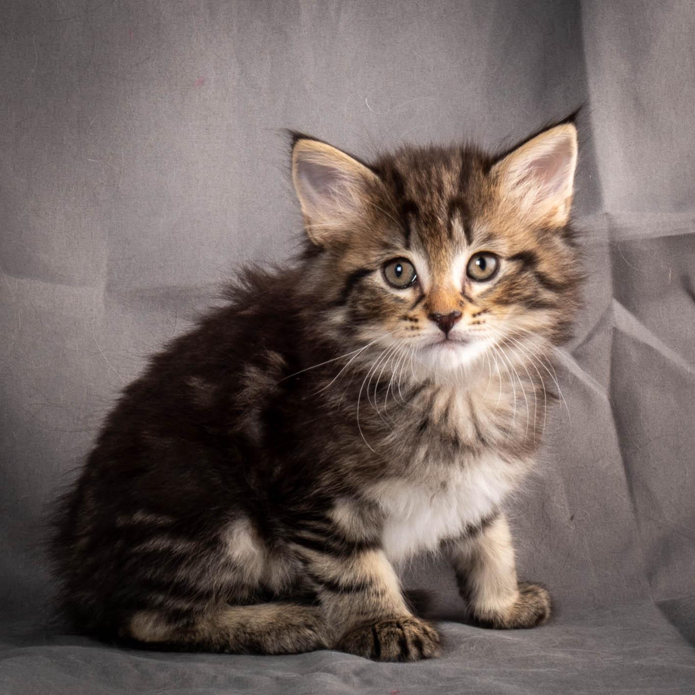 (N)Migoto's August, NFO a (09) 22