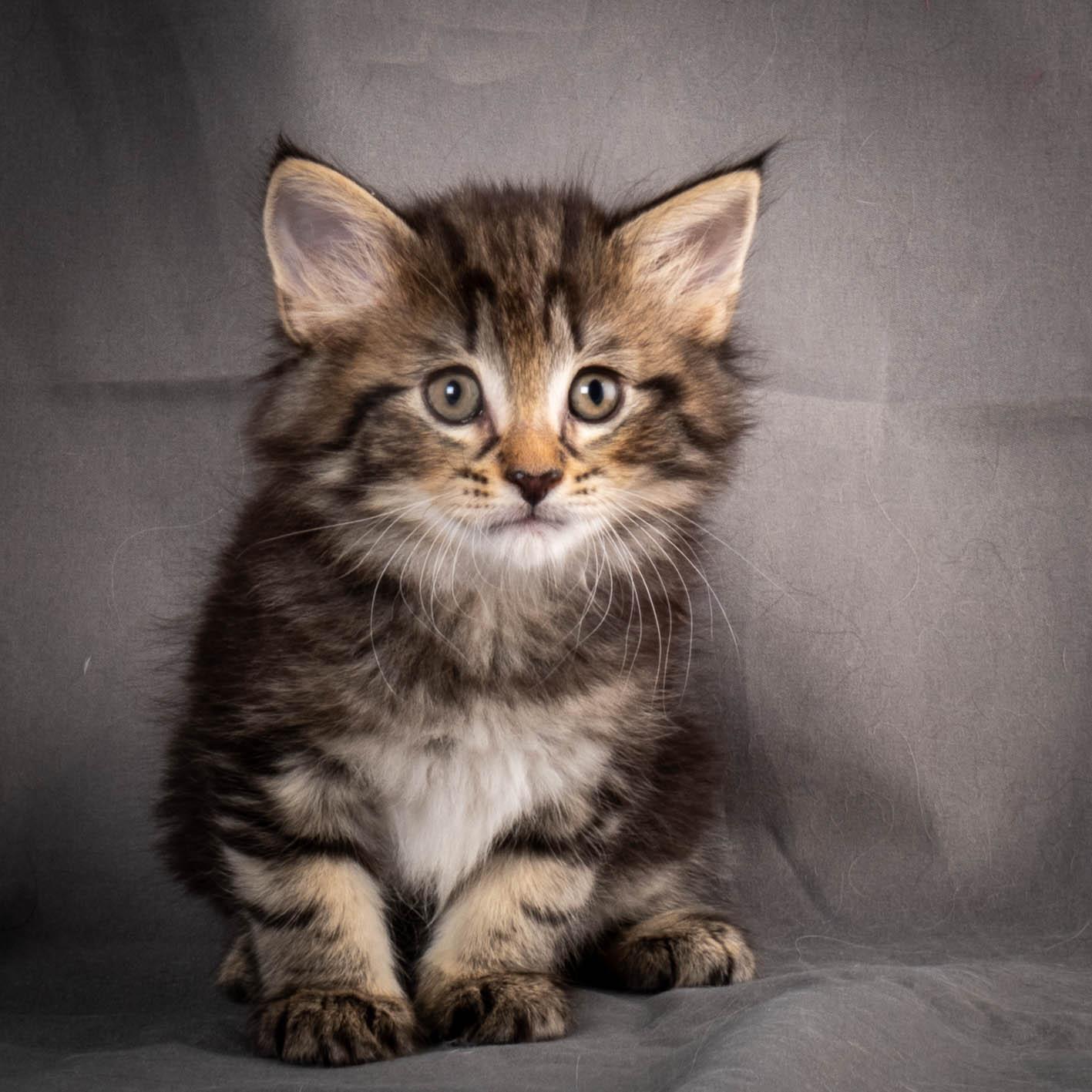 (N)Migoto's August, NFO a (09) 22