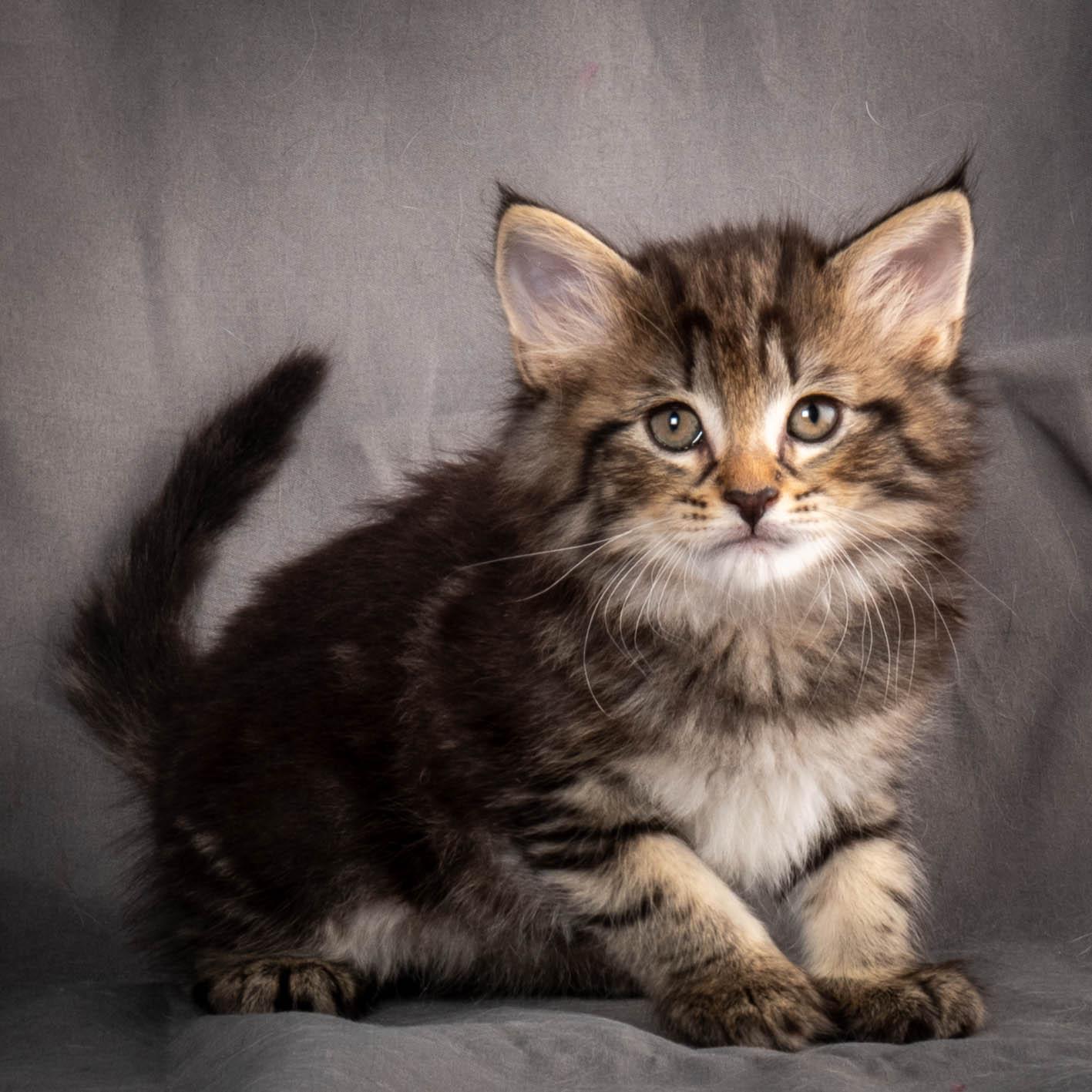 (N)Migoto's August, NFO a (09) 22